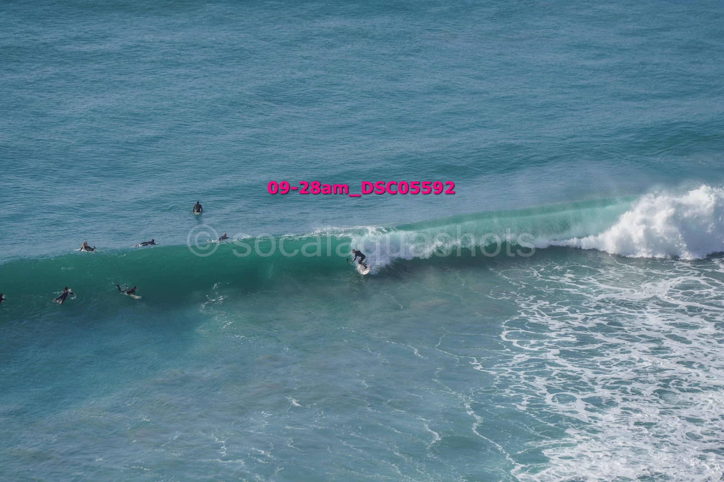 A group of surfers in wetsuits riding and waiting on surfboards on ocean waves, with view of open water in background.