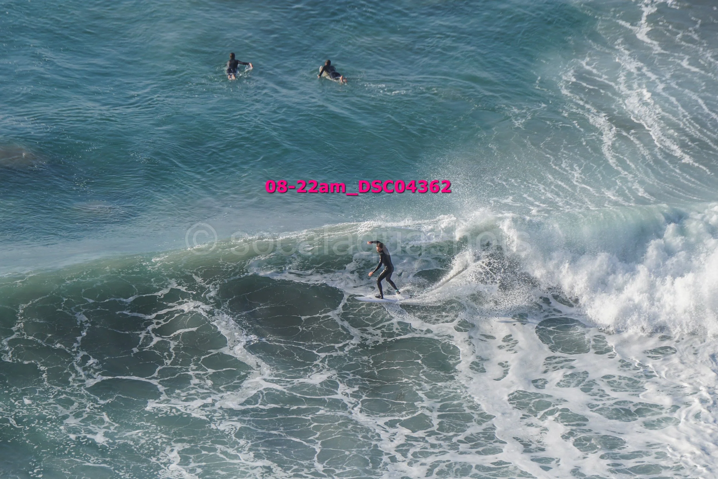 Surfer riding a wave while three other surfers are paddling on their boards in the water.