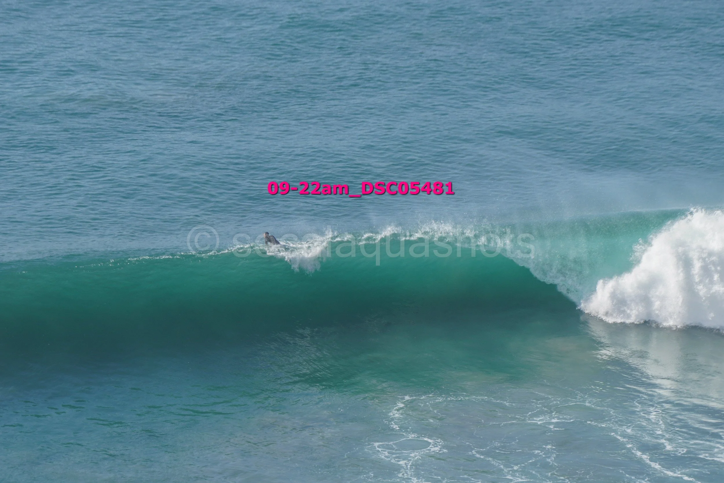 A surfer riding a wave in the ocean, with a visible caption '09-22am_DSC05481' in pink text.