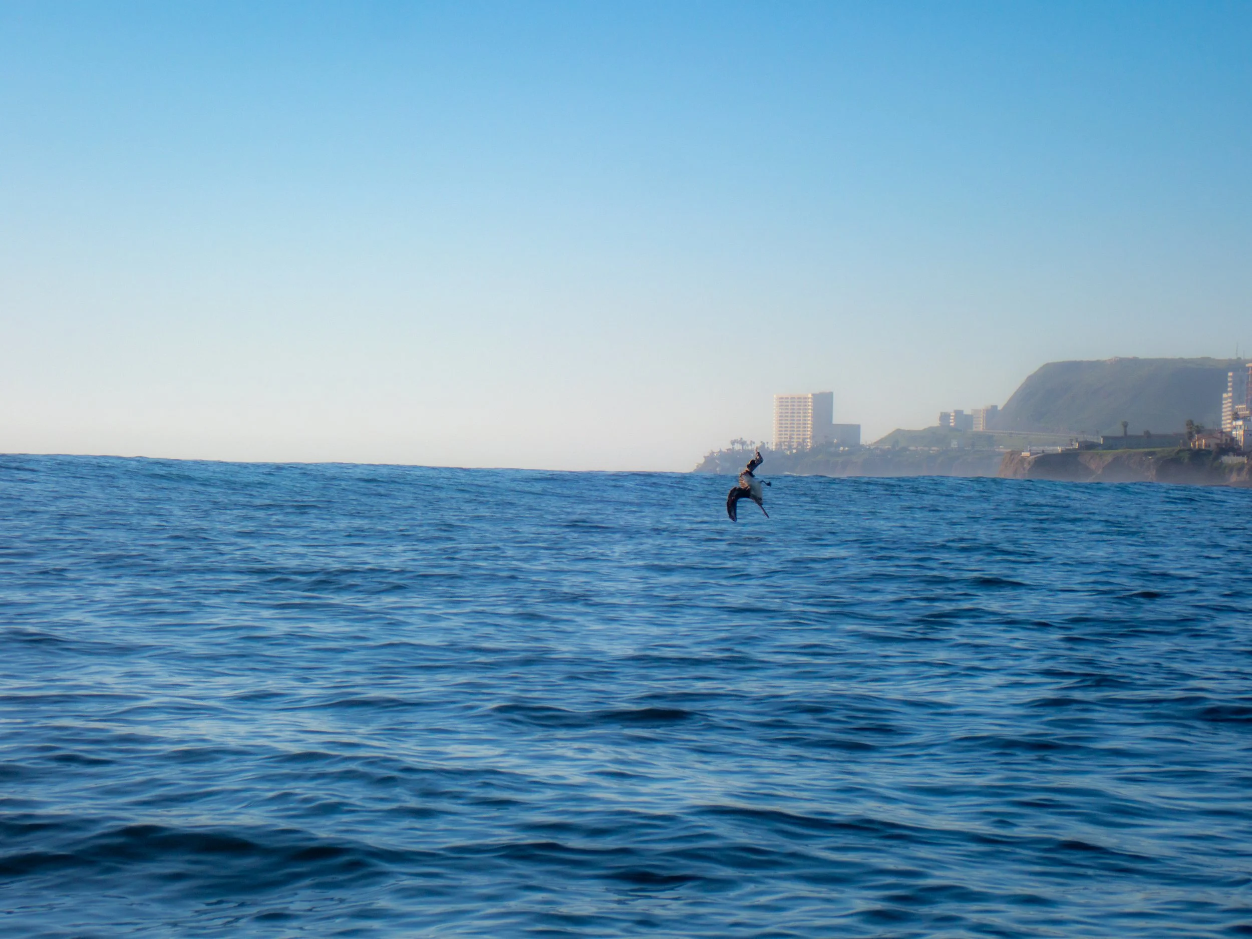 A person surfing on a wave in the ocean with a city skyline and hills in the background.
