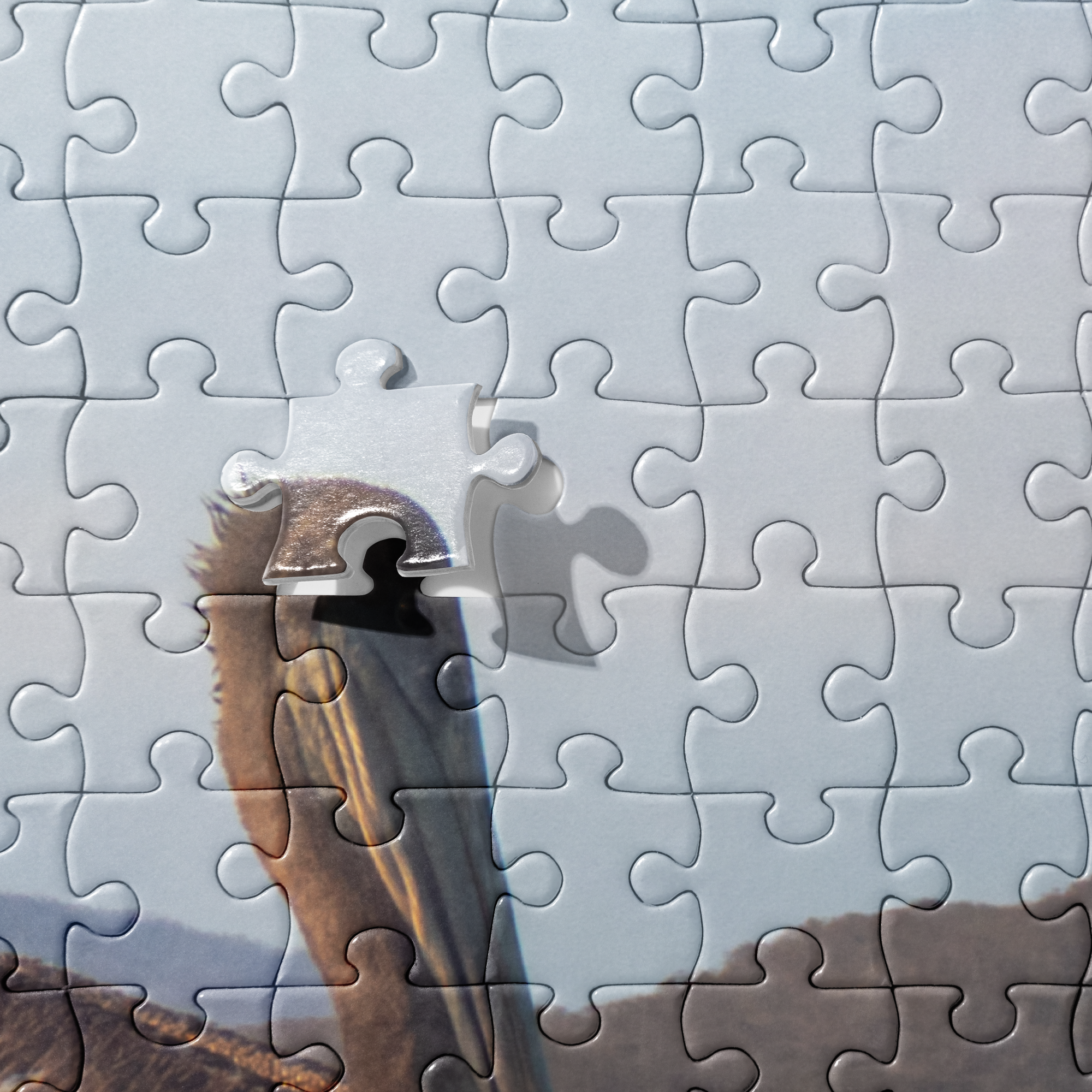 jigsaw-puzzle-520-pieces-product-details-69f39382754a2.png