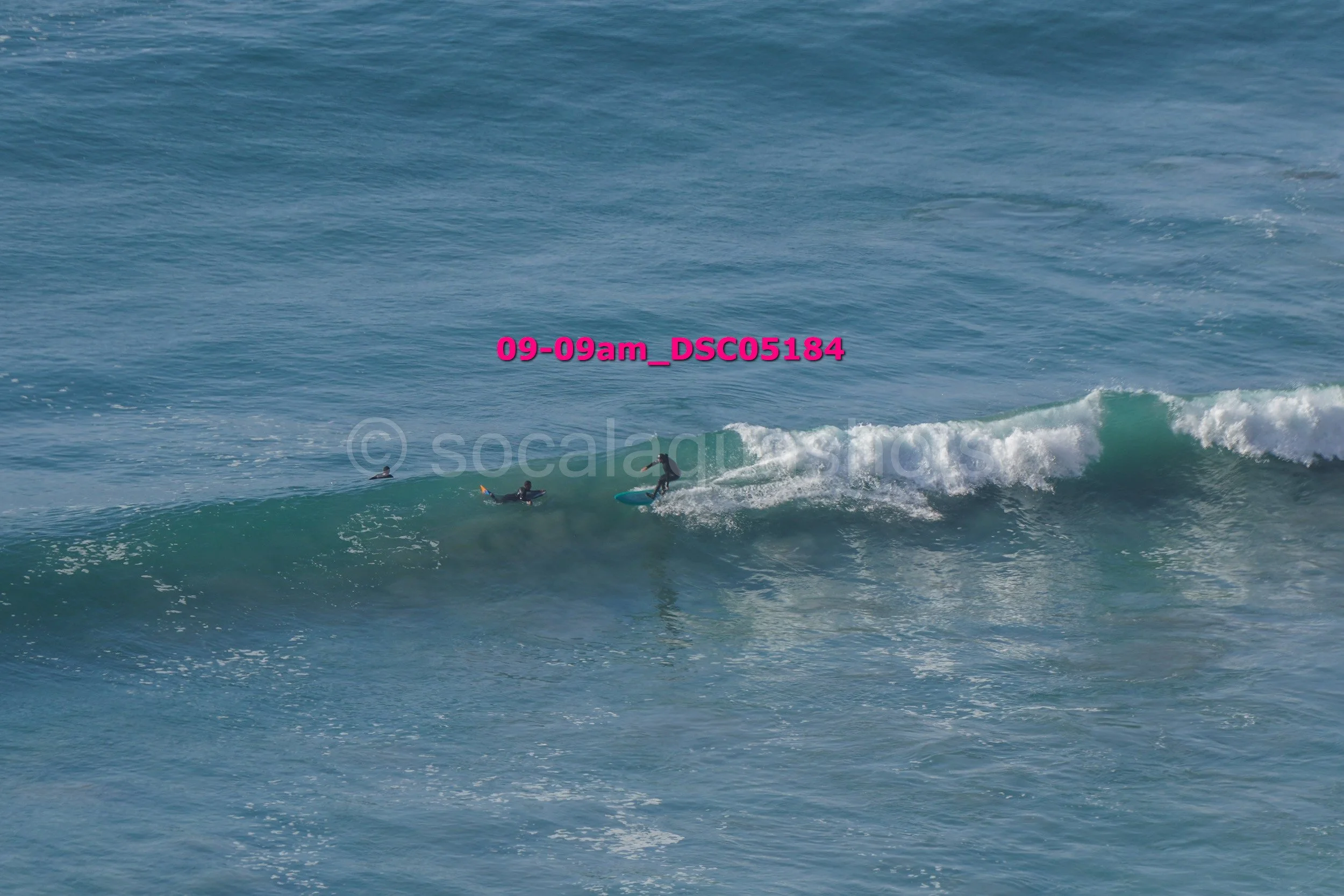 Three surfers on the ocean waves, two standing on their surfboards and one lying on their surfboard, riding a wave with white foam at the crest.