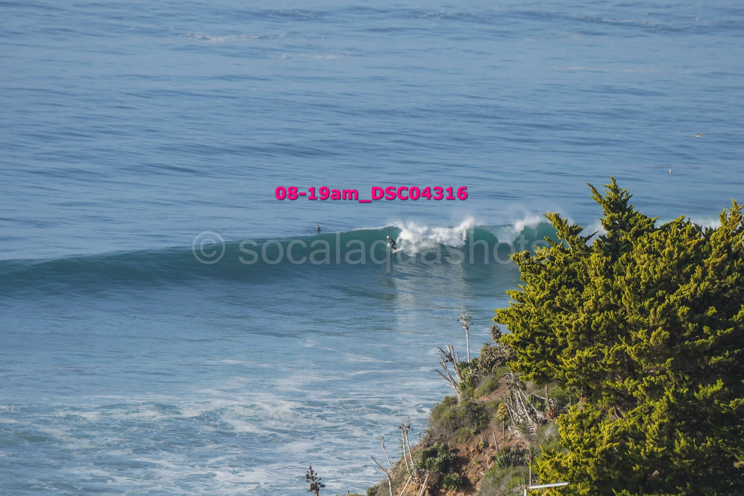 A person surfing on a wave near a rocky coastline with green trees.