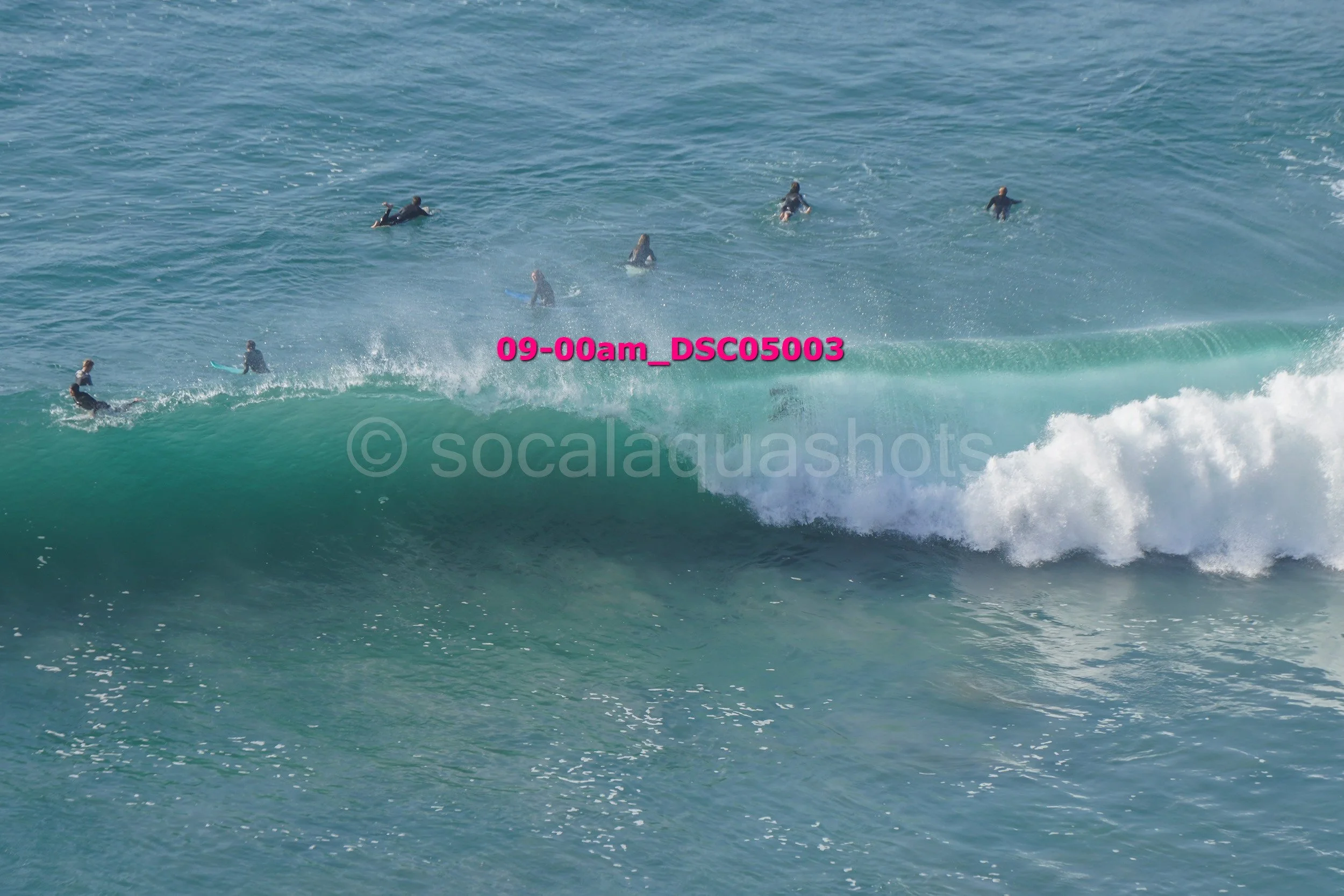Group of surfers in wetsuits riding ocean waves with some waiting in the water.