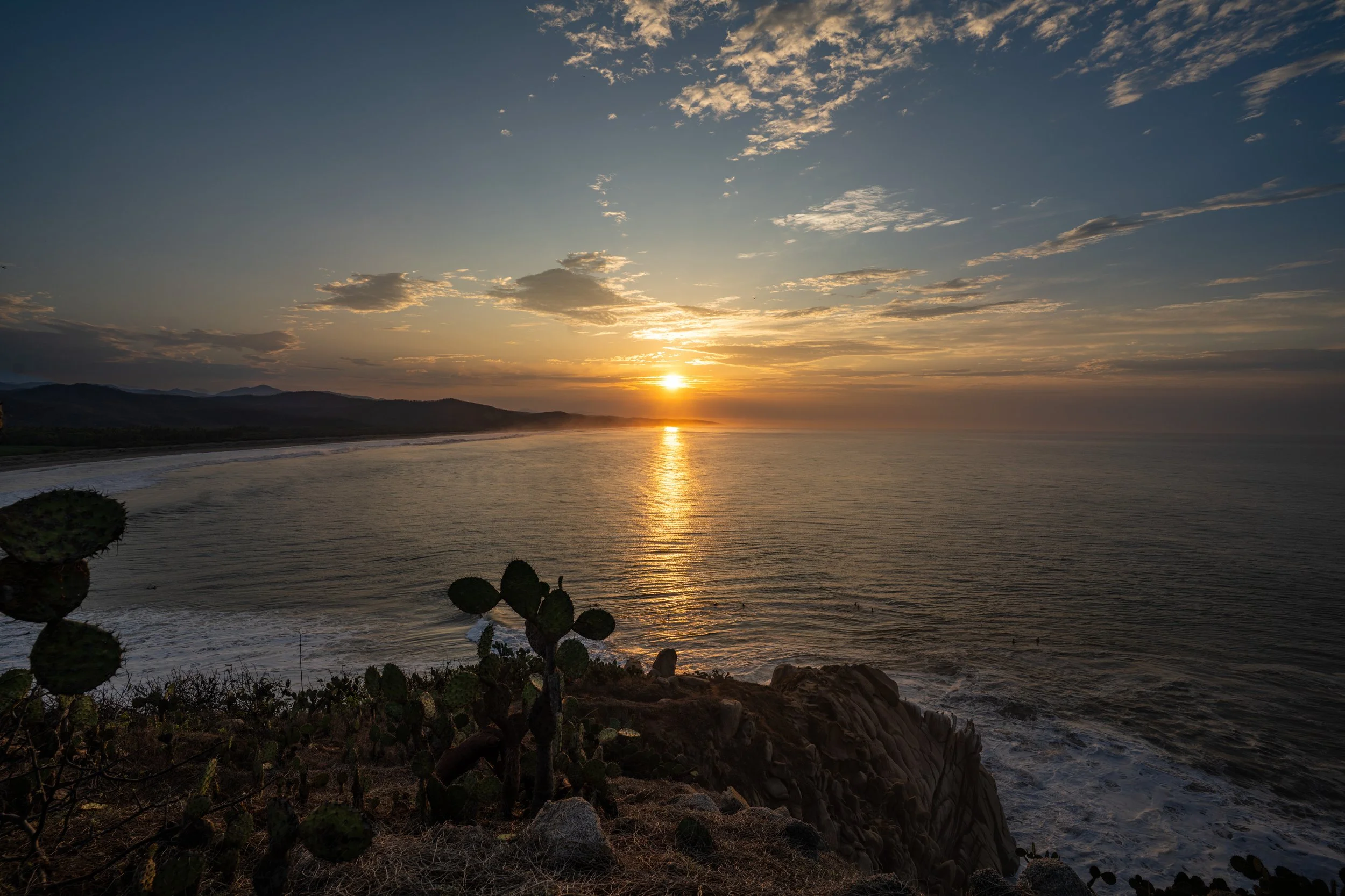 Sunset over the ocean with clouds in the sky and cactus plants in the foreground.