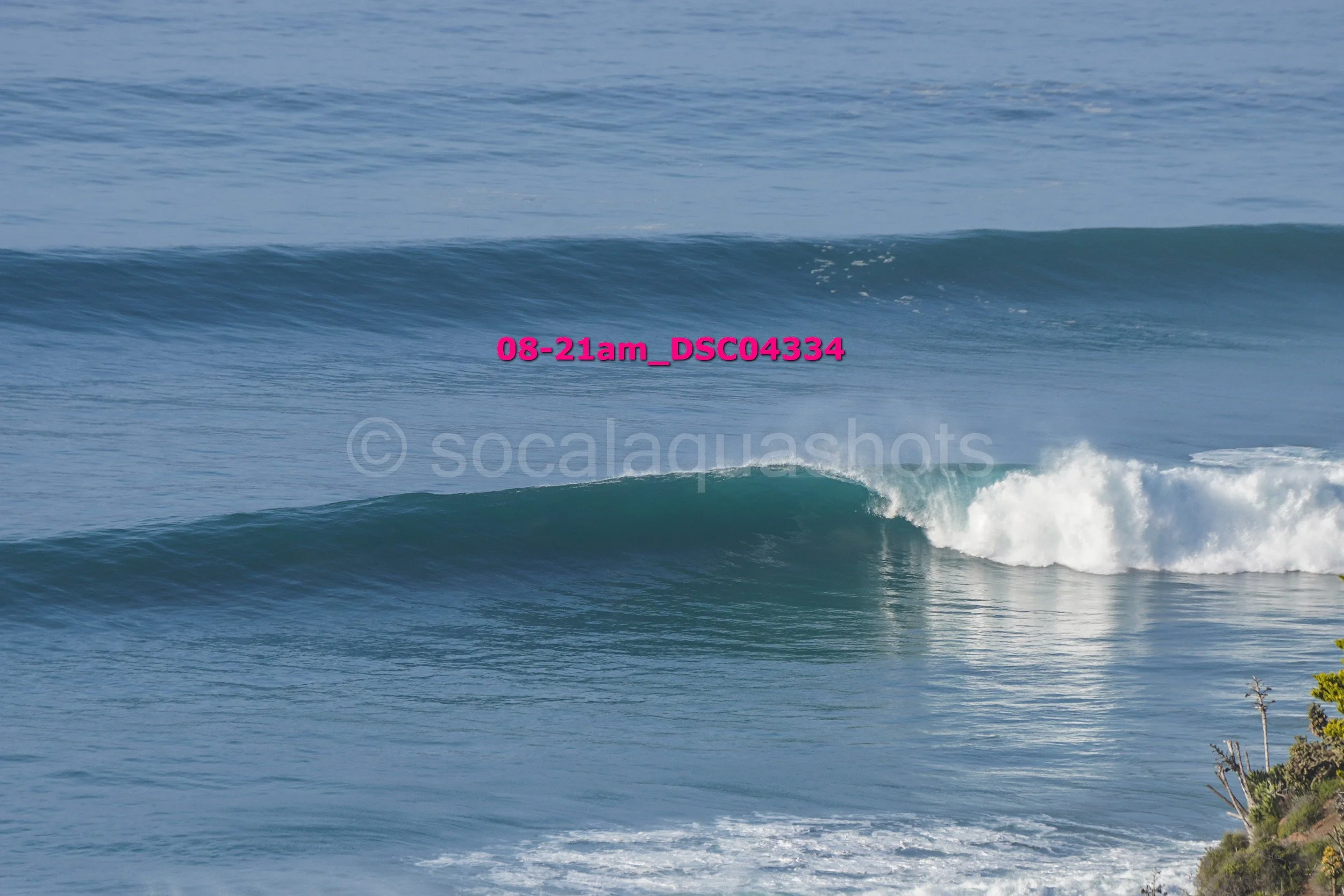 Ocean waves crashing near the shoreline with some greenery in the bottom right corner.