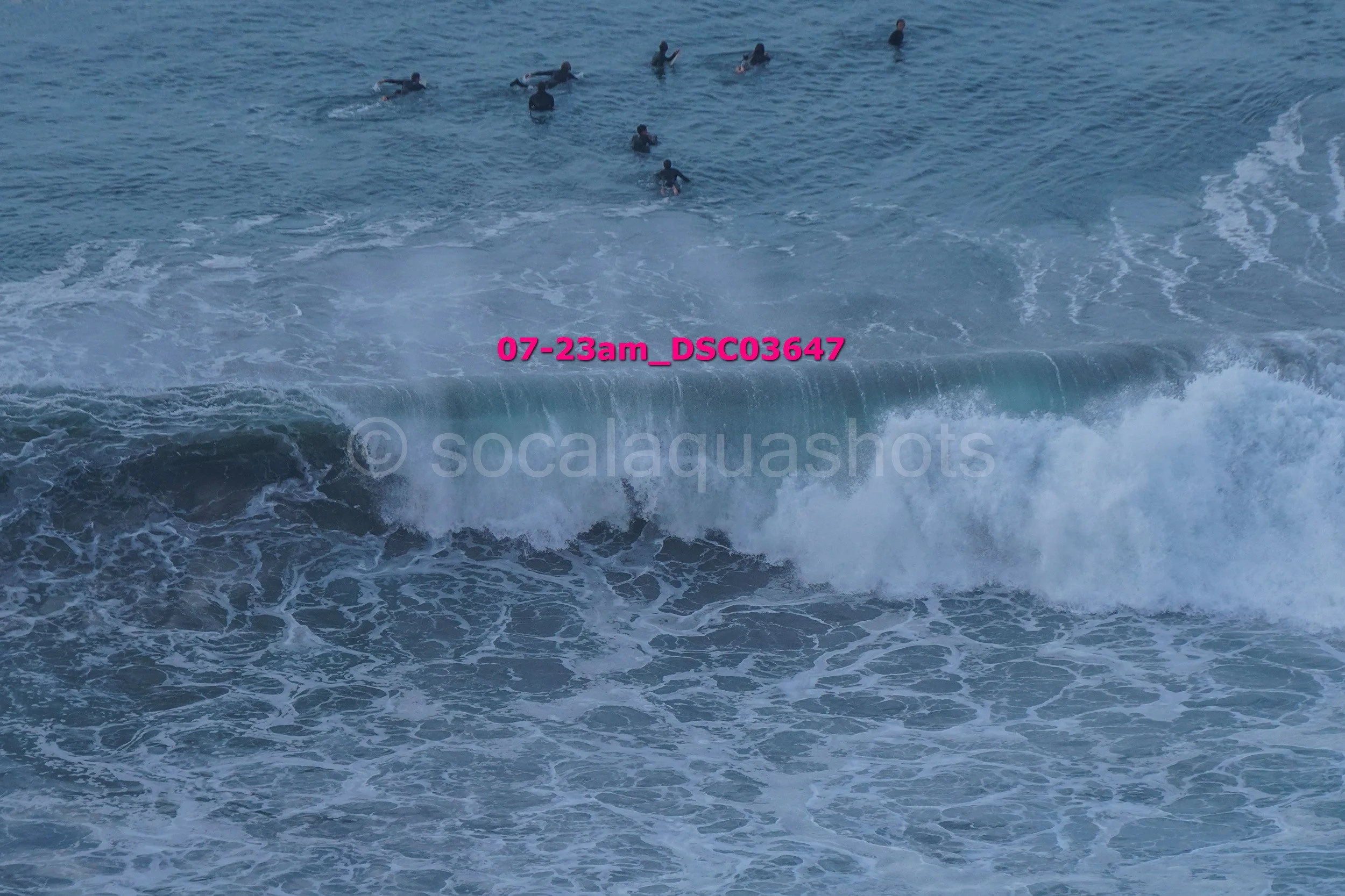 Group of surfers in the ocean waiting for waves.