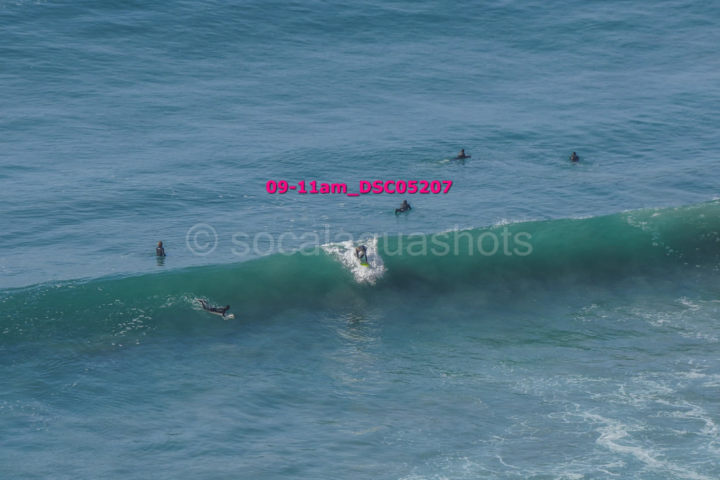 Surfers waiting in the water with one actively riding a wave in the ocean.