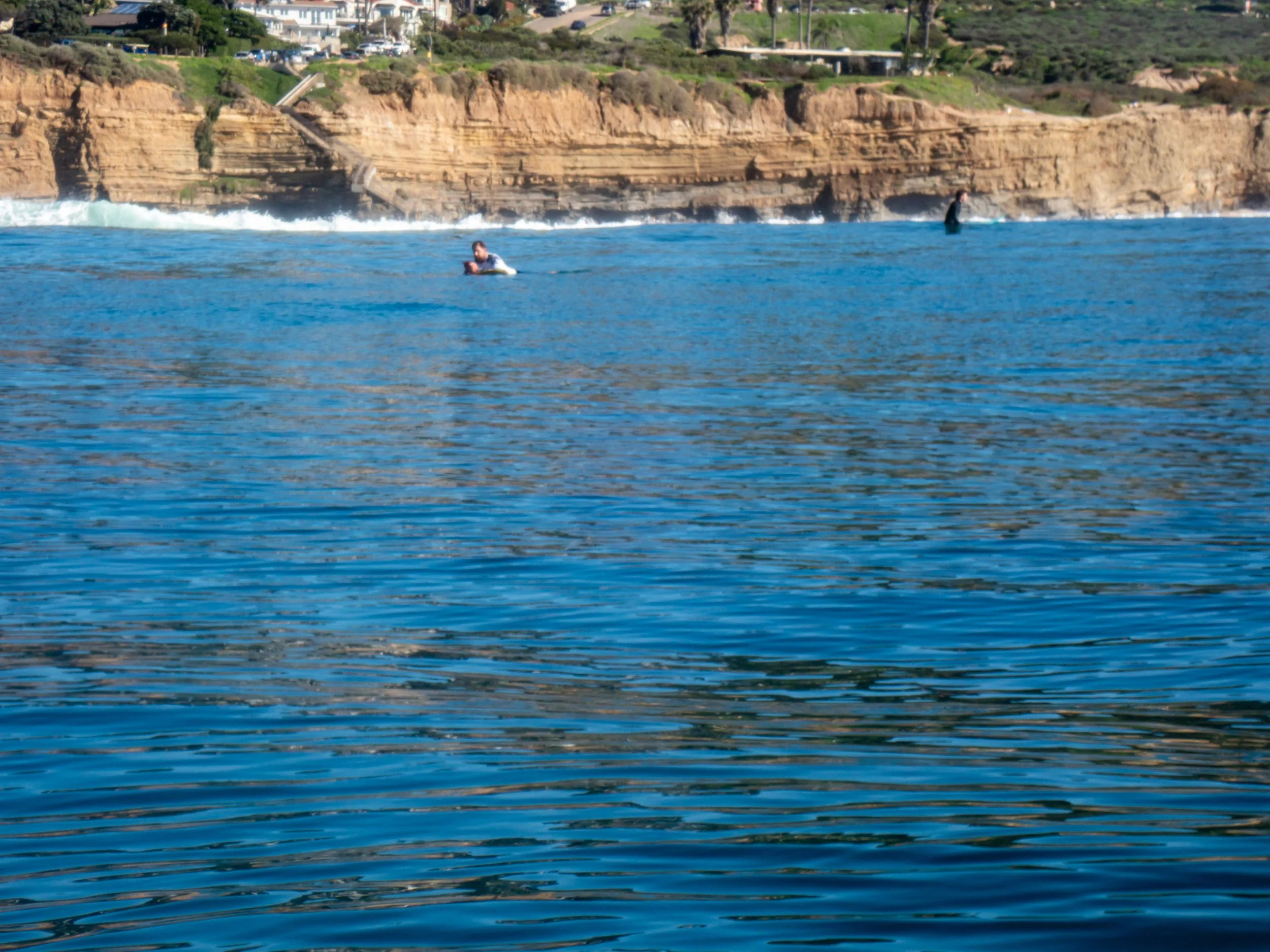People surfing and swimming in ocean waters near rocky cliffs with green vegetation and houses in the background.