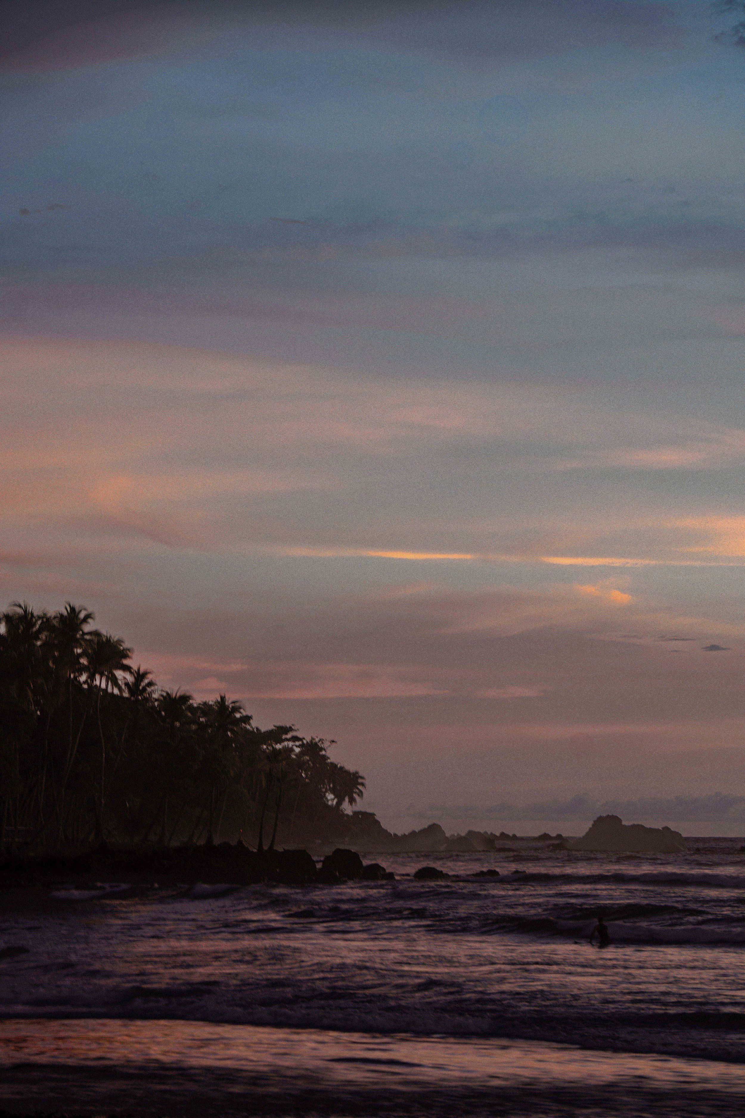 Sunset over a beach with palm trees and rocky shoreline in the foreground.