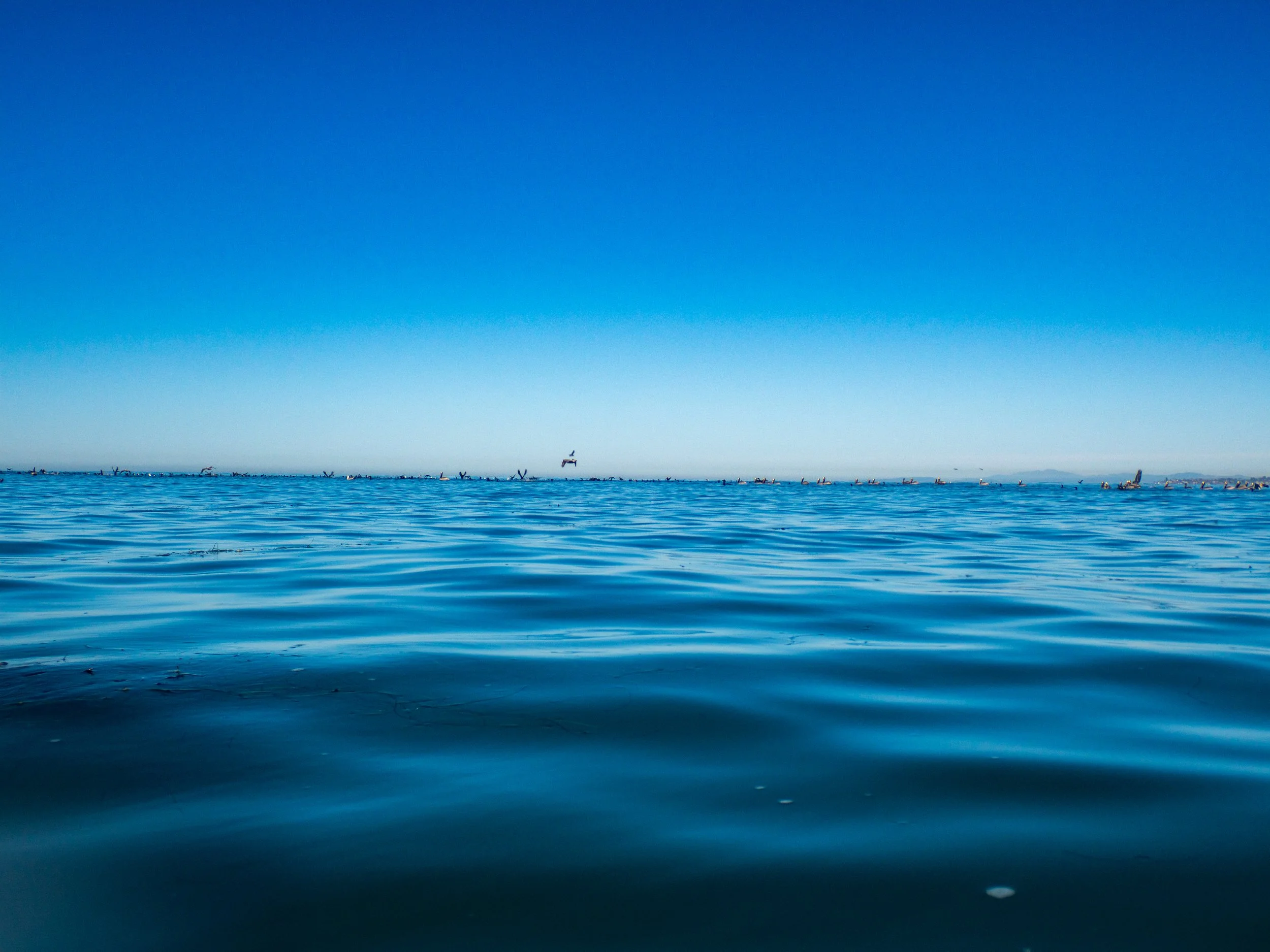 Wide view of calm ocean water with a clear blue sky and distant boats on the horizon.