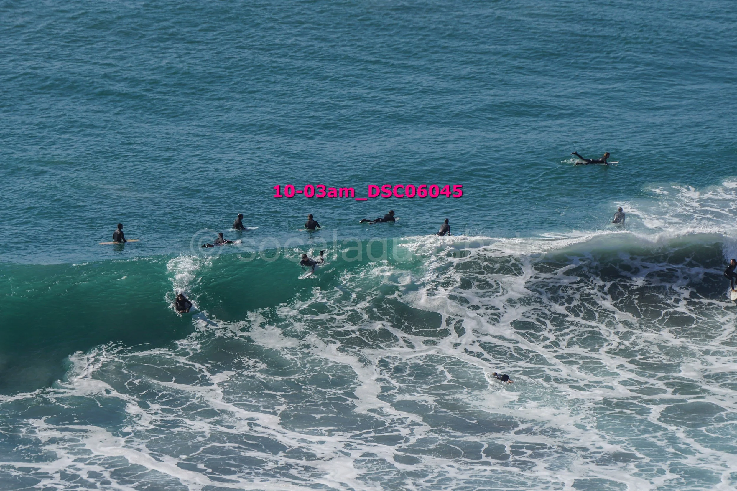 People surfing in the ocean with some riding waves and others swimming nearby.