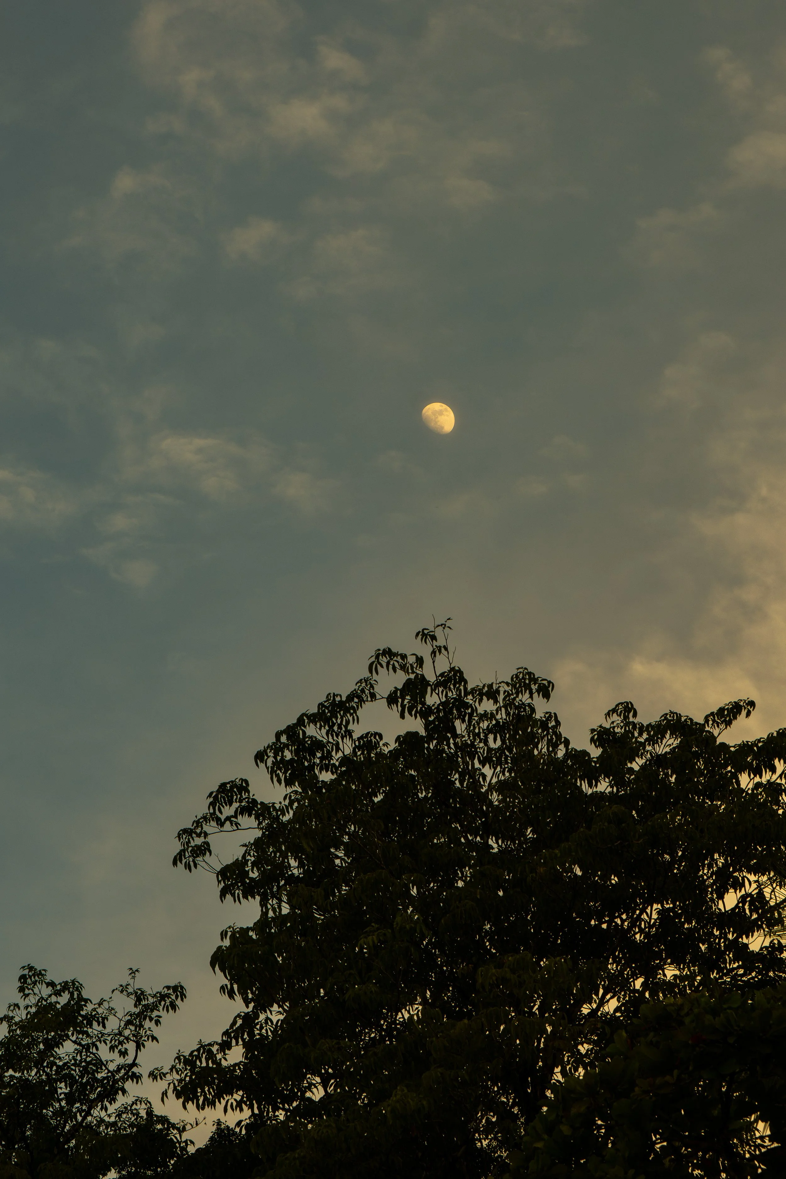DSC08741.jpg