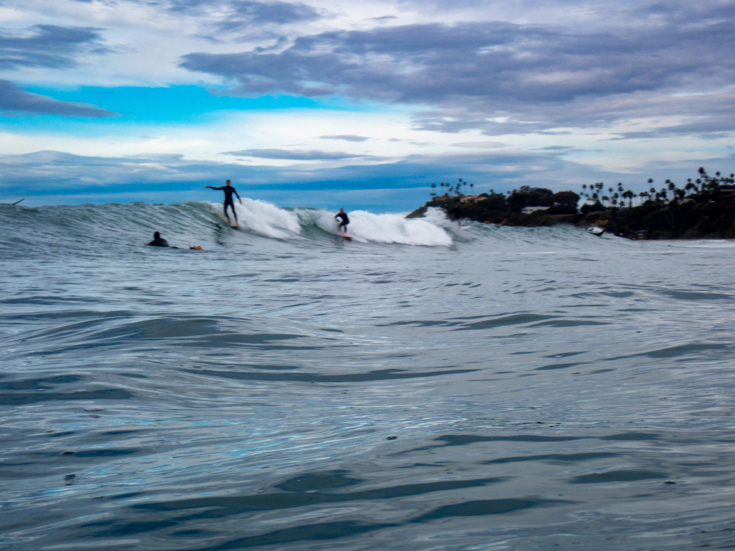 Surfers riding waves in the ocean near a coastline with palm trees, under a cloudy sky.