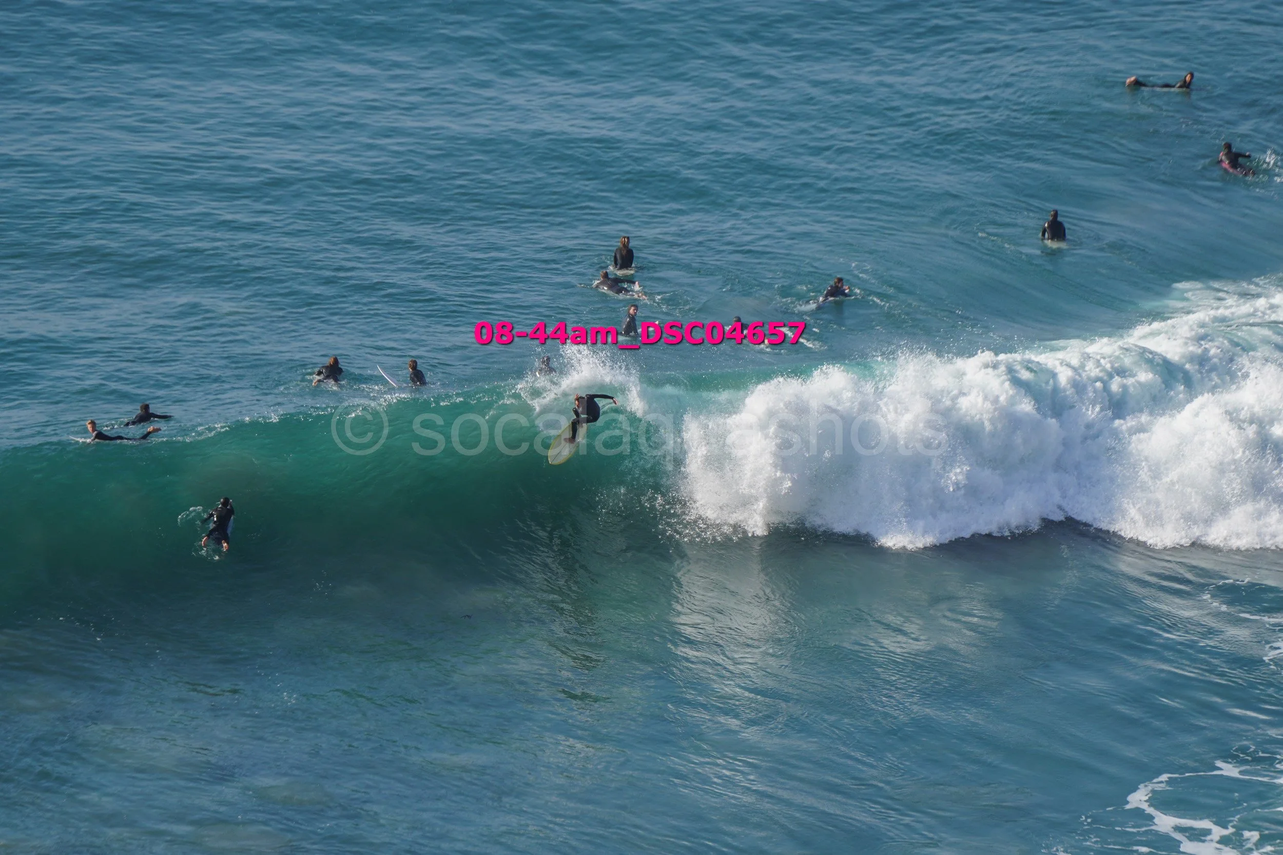 Group of surfers in wetsuits riding and waiting for waves in the ocean, some paddling and some on their surfboards.