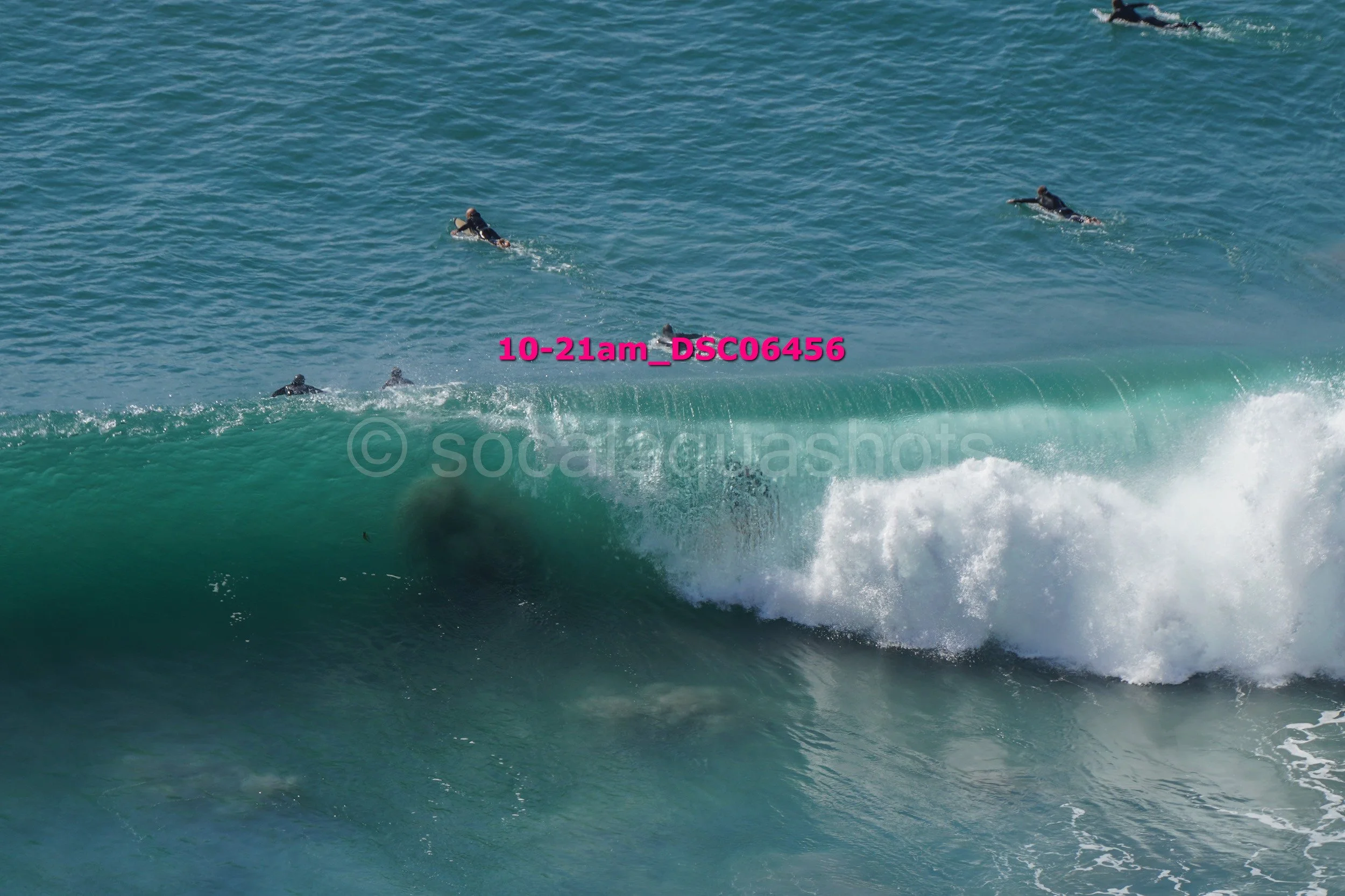 Surfers paddling in the ocean with one surfer riding a large wave.