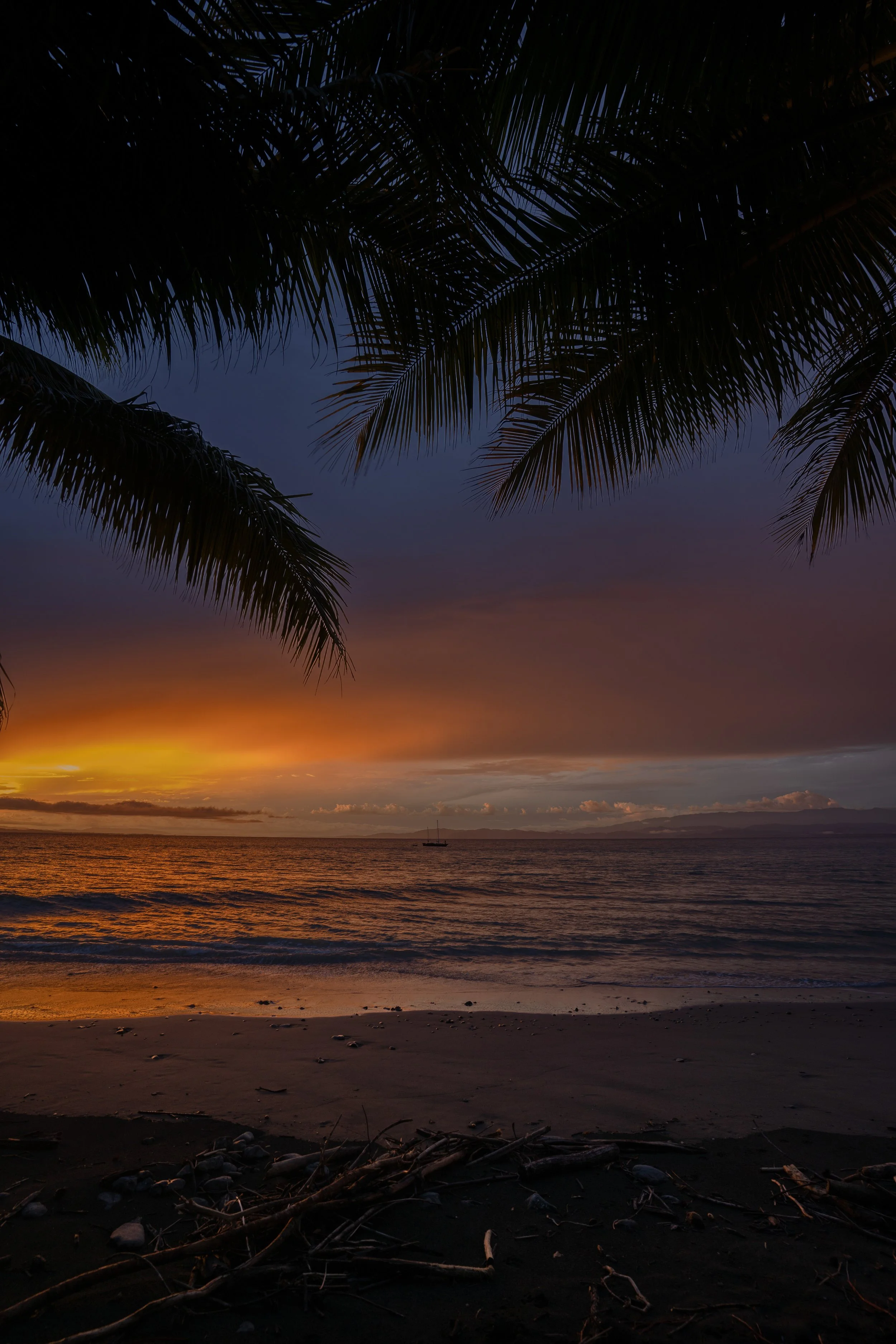 South beach at sunset with palm fronds in the foreground, calm water, a boat in the distance, and mountains on the horizon under a colorful sky.