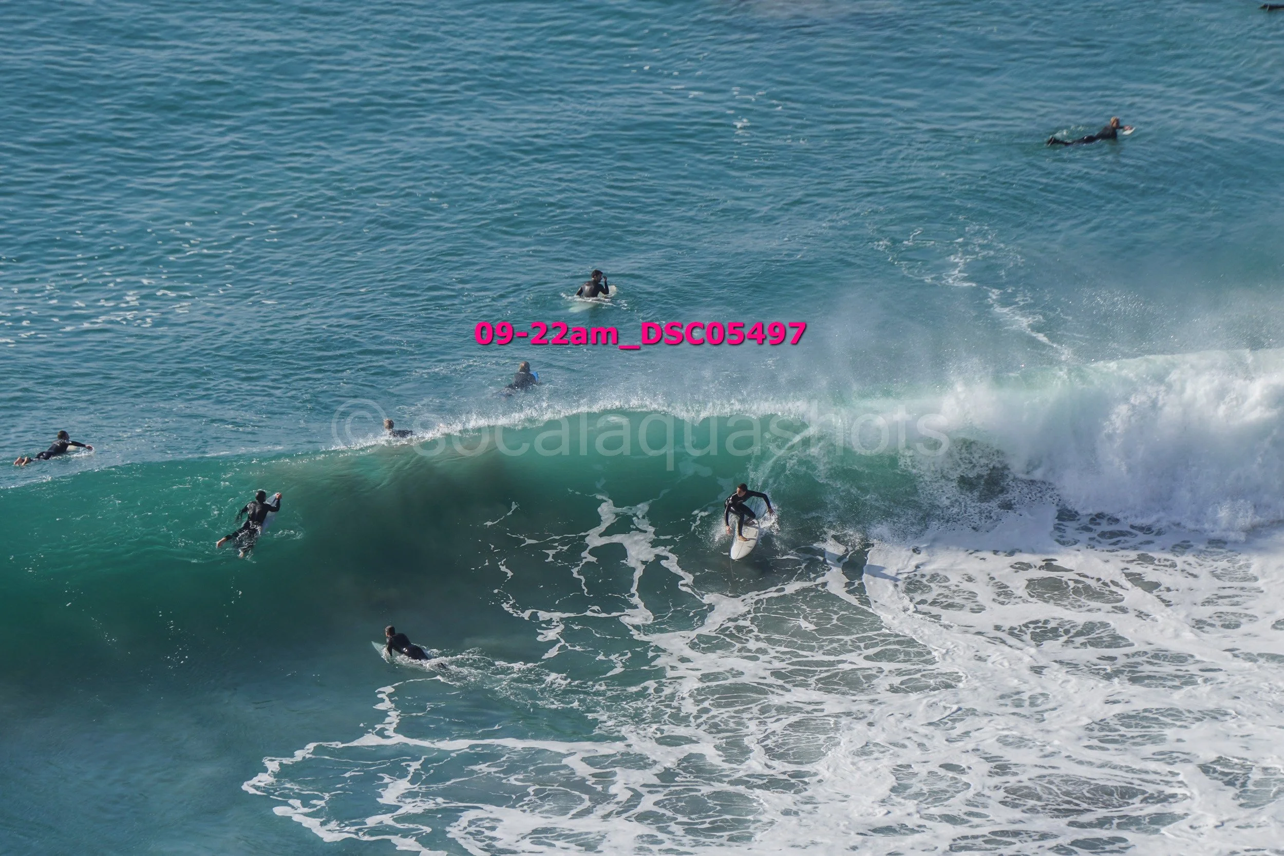 Group of surfers riding and swimming in the ocean waves on a sunny day.