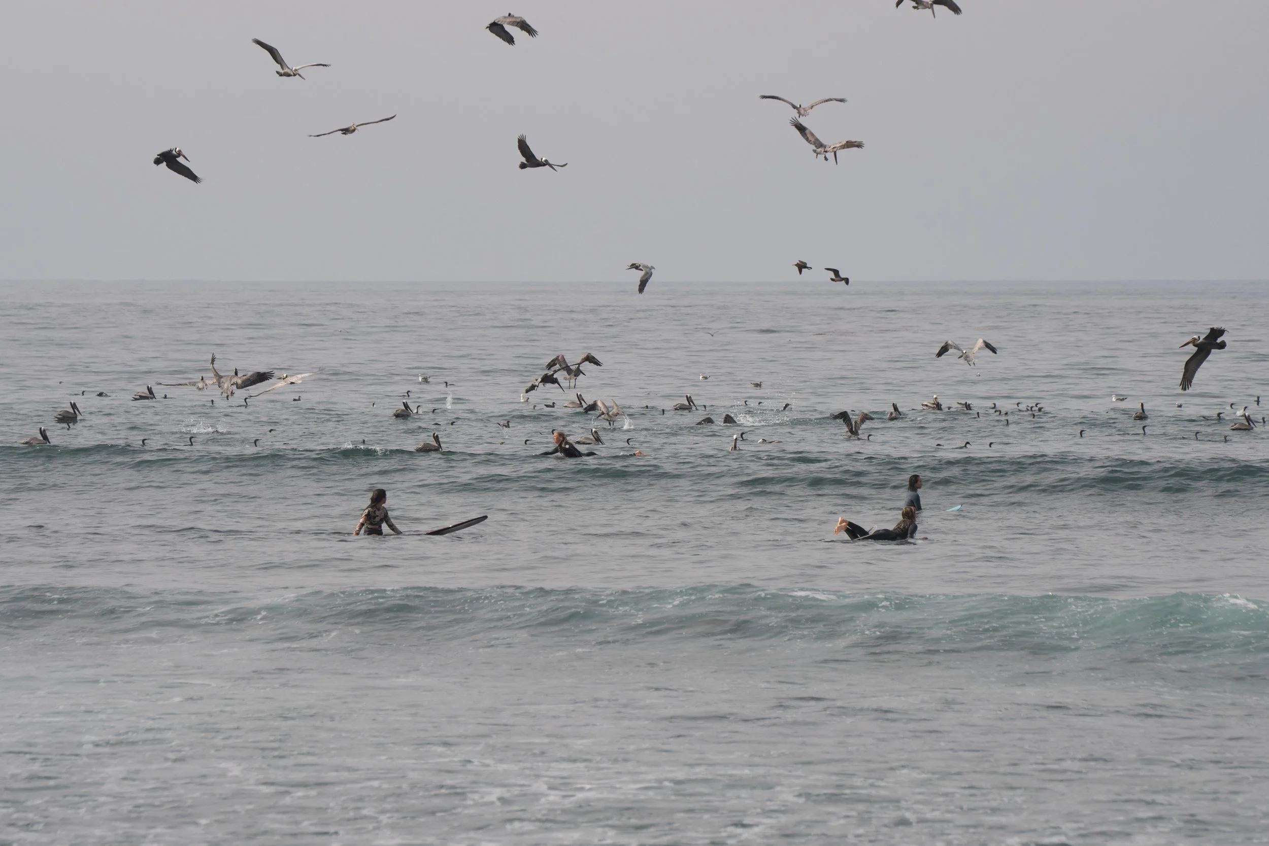 DSC07808.jpg