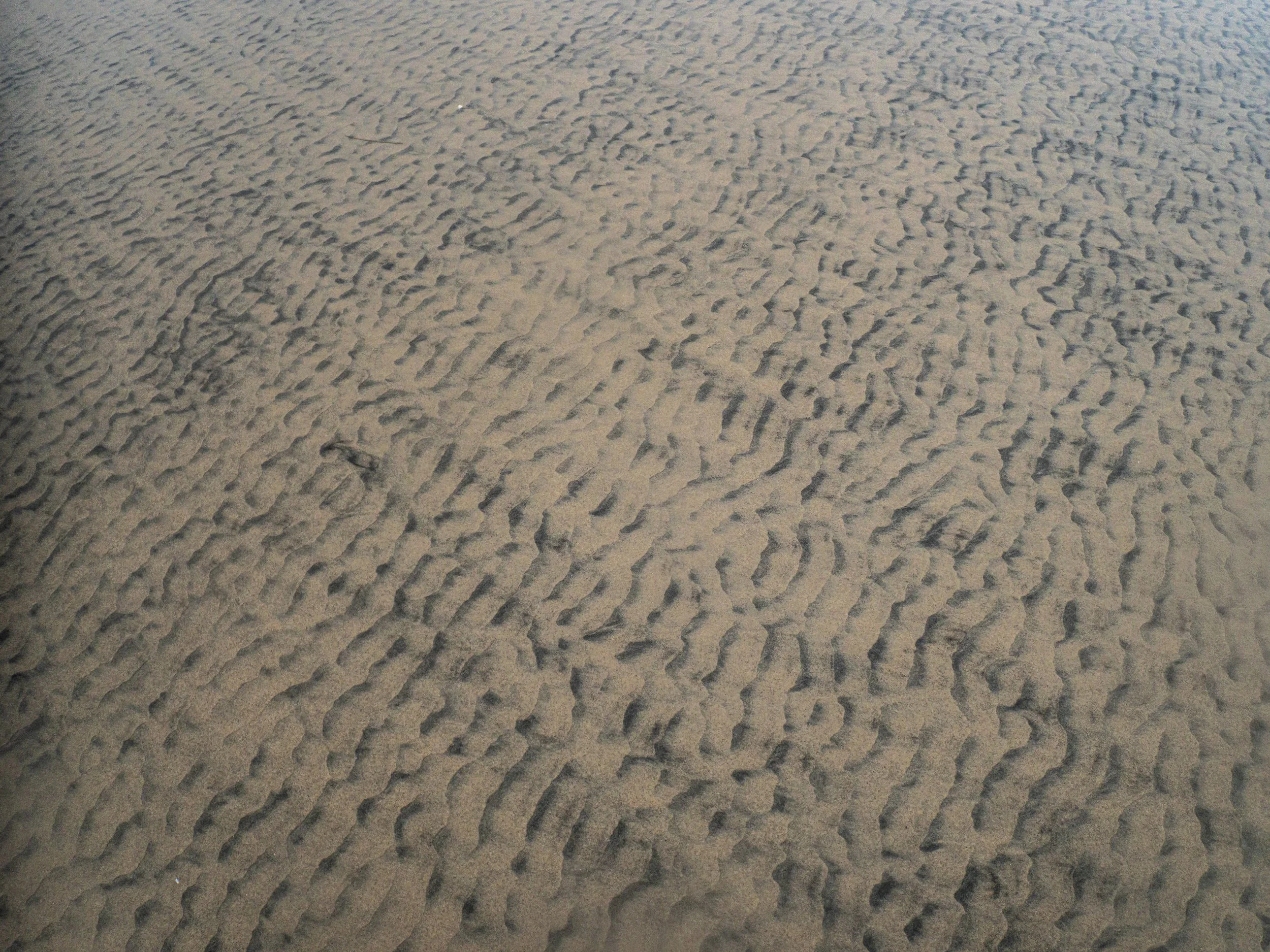 Close-up of sand with footprints and tire tracks.