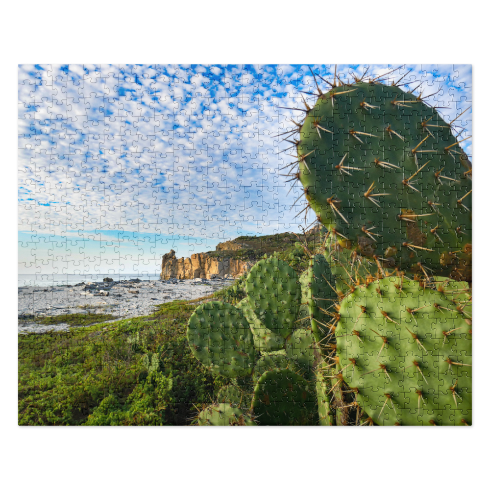 jigsaw-puzzle-520-pieces-front-6802ea986fe14.png