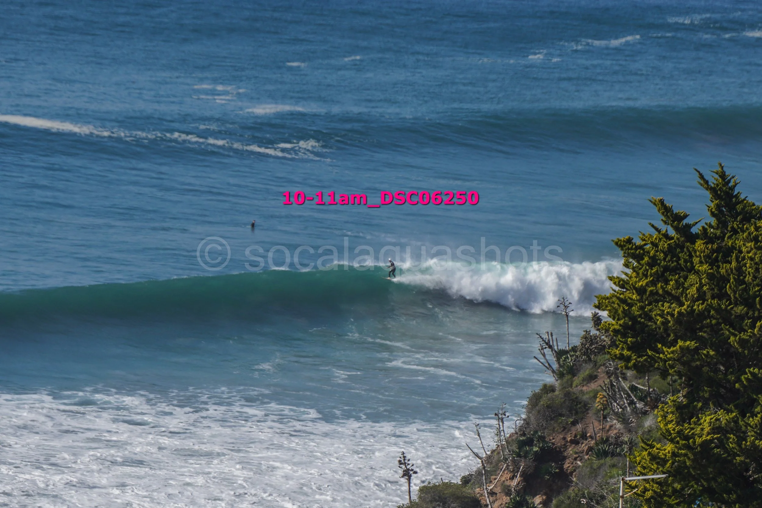 Surfer riding a wave near a rocky shoreline with green trees, ocean, and waves in the background.