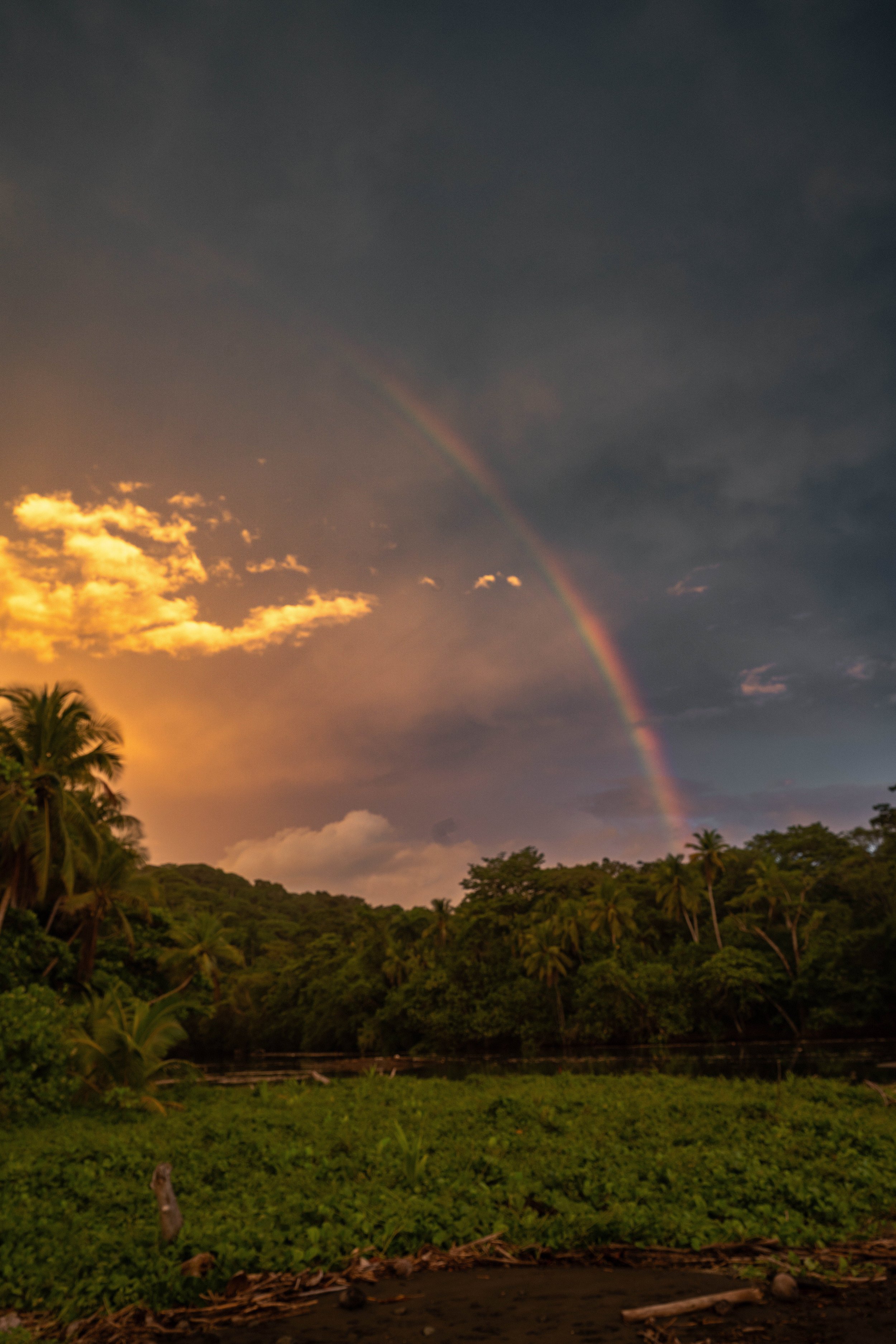 Partially cloudy evening over a lush, green tropical landscape with a rainbow arcing across the sky and some palm trees in the distance.