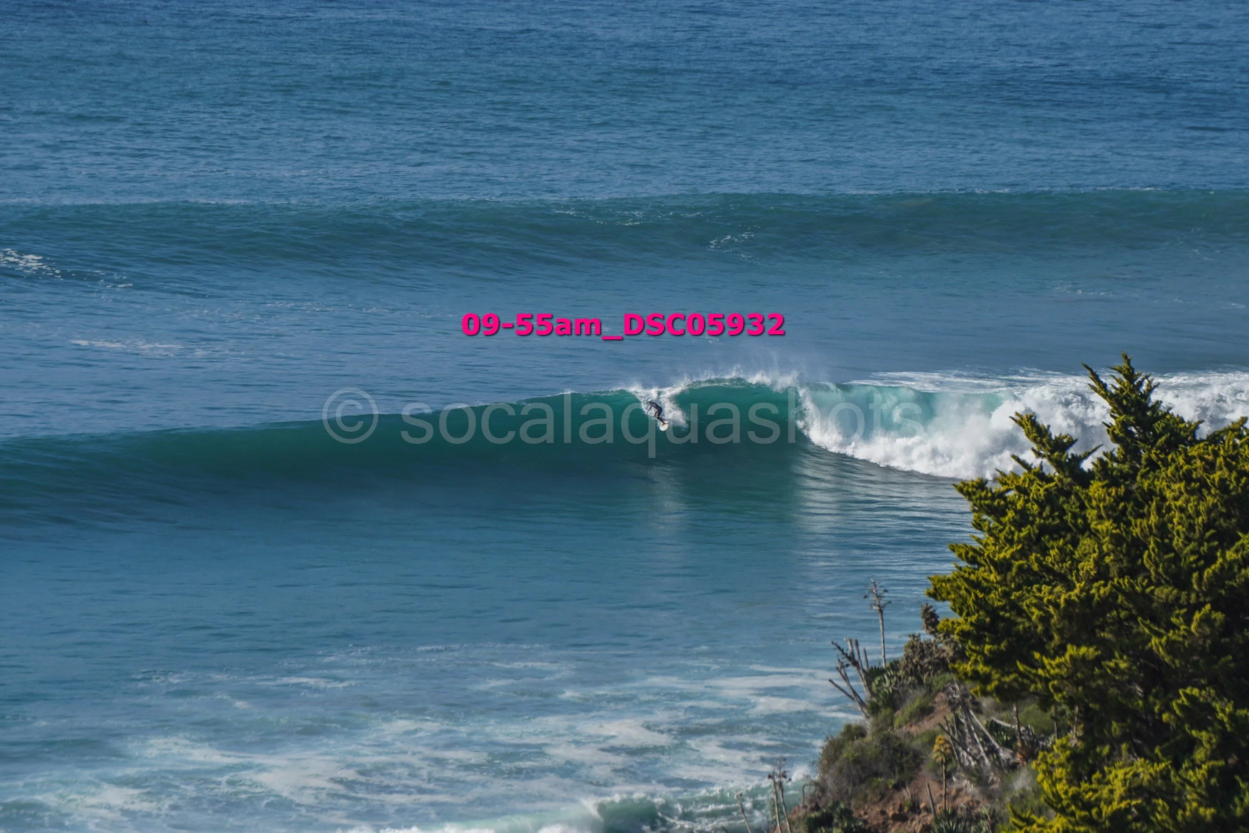 A surfer riding a wave off the coast near some trees, with the ocean and multiple waves in the background.
