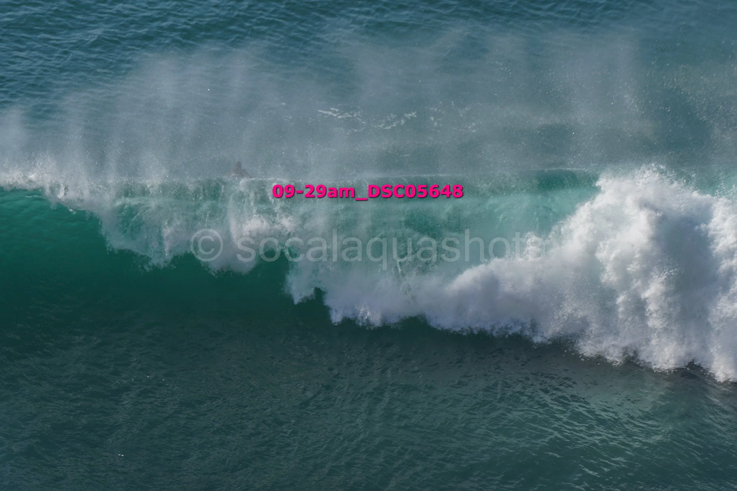 Ocean wave with water spray and white foam.