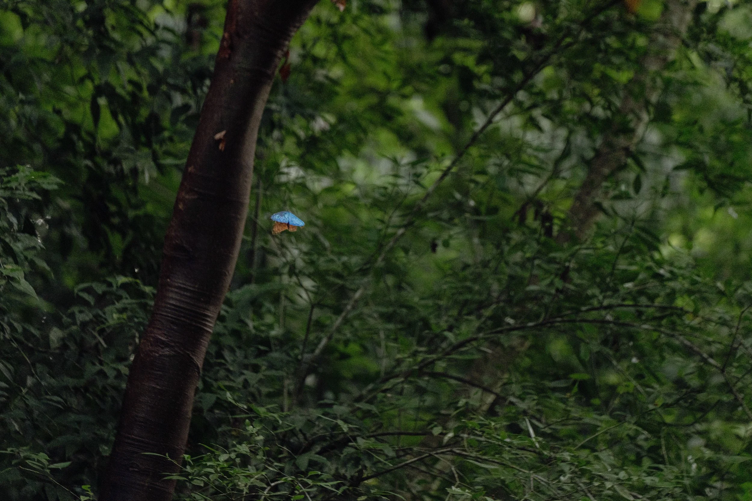 DSC07121-2.jpg