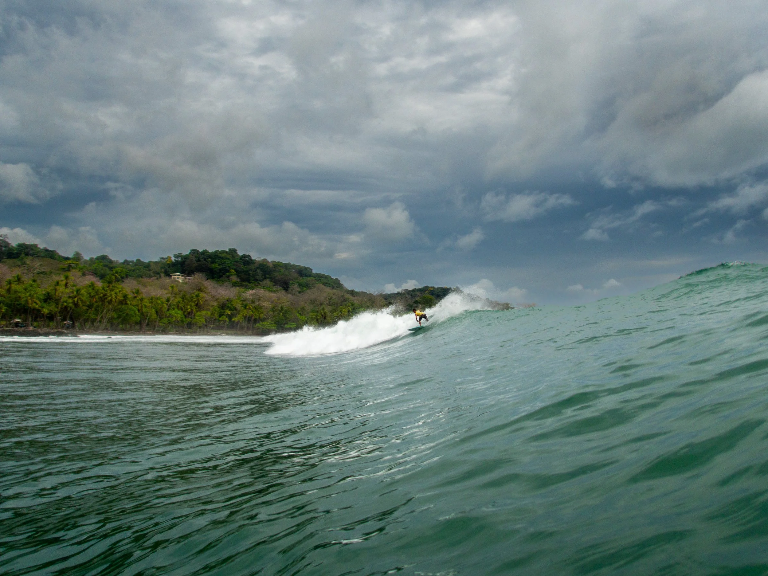surfer riding wave in tropical ocean with cloudy sky and distant shoreline with palm trees