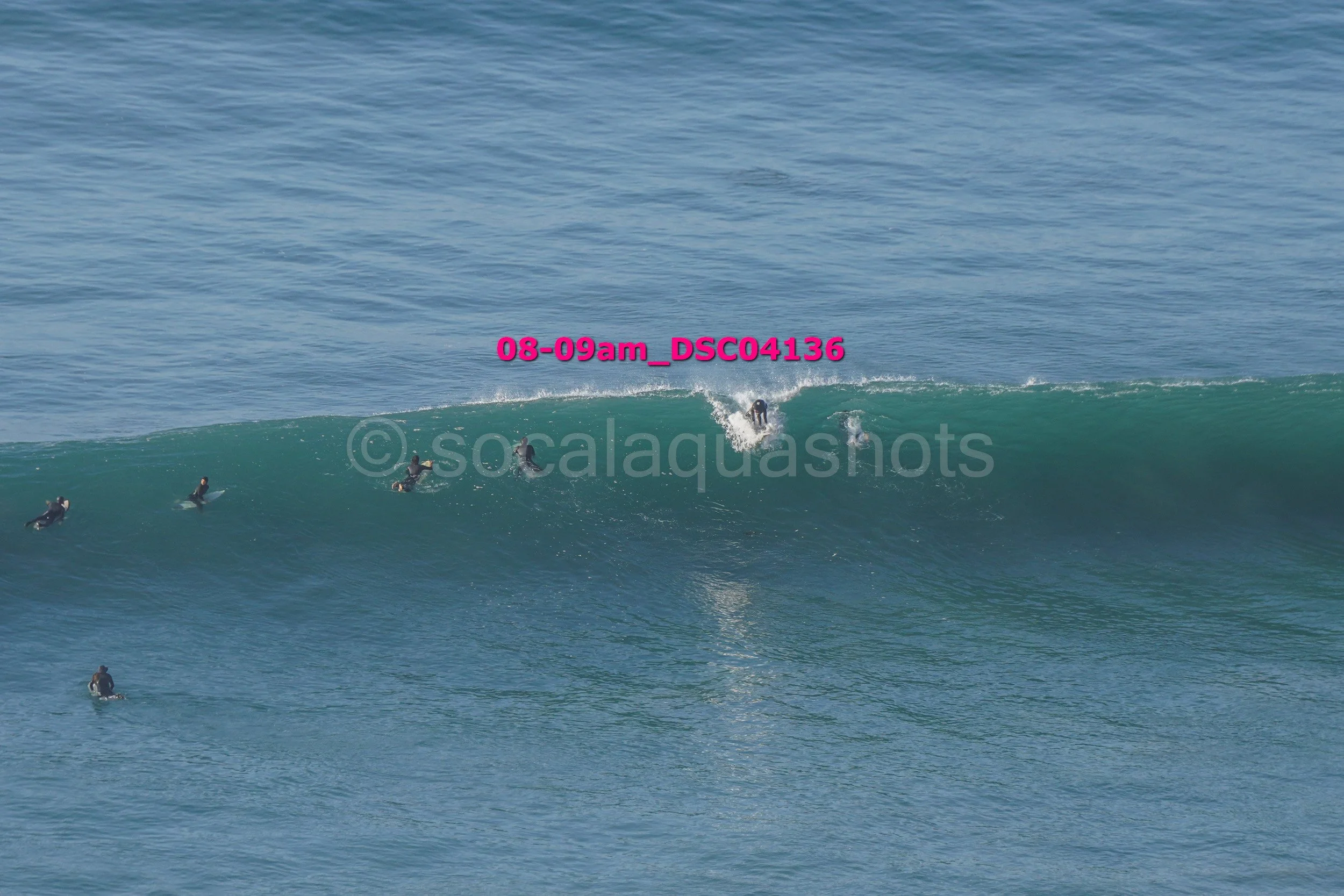 Multiple surfers waiting for waves in the ocean, some riding large waves, with surfboards and wetsuits visible.