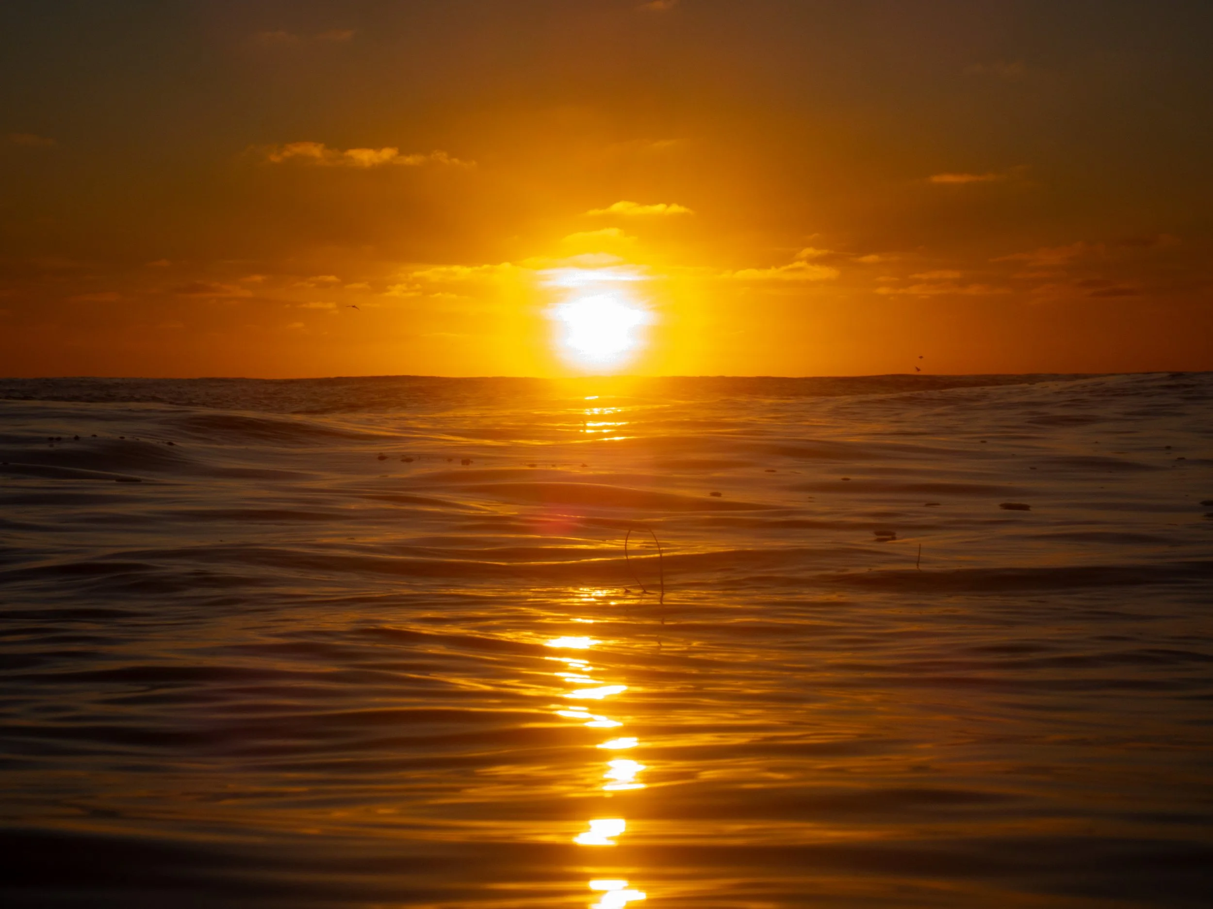 Sunset over the ocean with warm orange and yellow tones reflecting on the water surface