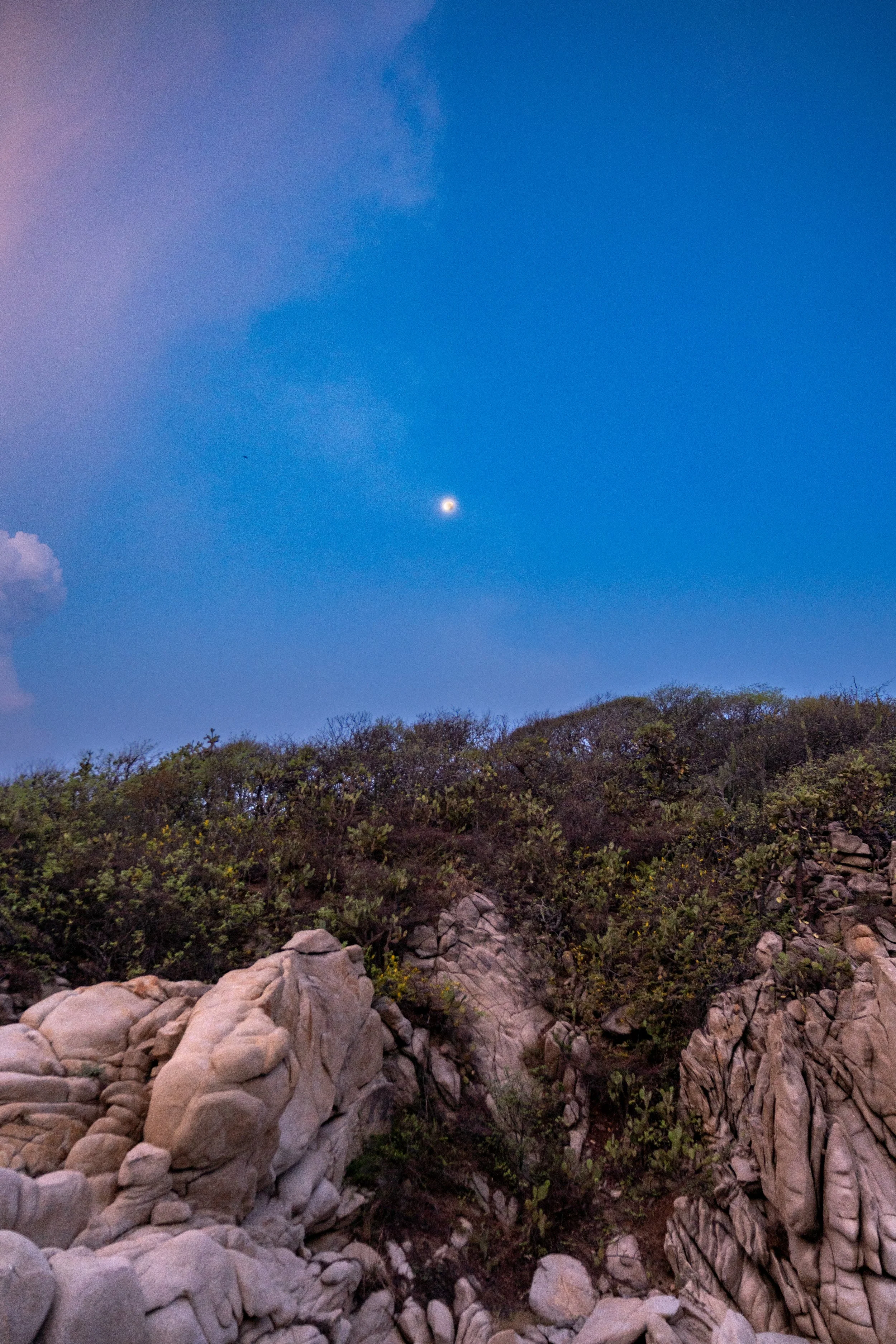 A pile of light-colored rocks in the foreground with shrubbery and trees behind, under a blue sky with a bright moon and a small cloud.