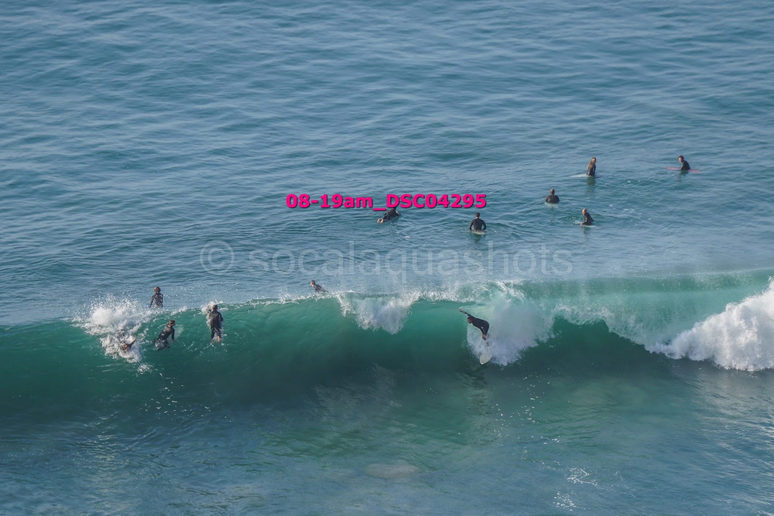 Surfers in wetsuits in the ocean, some riding a wave and others waiting in the water.