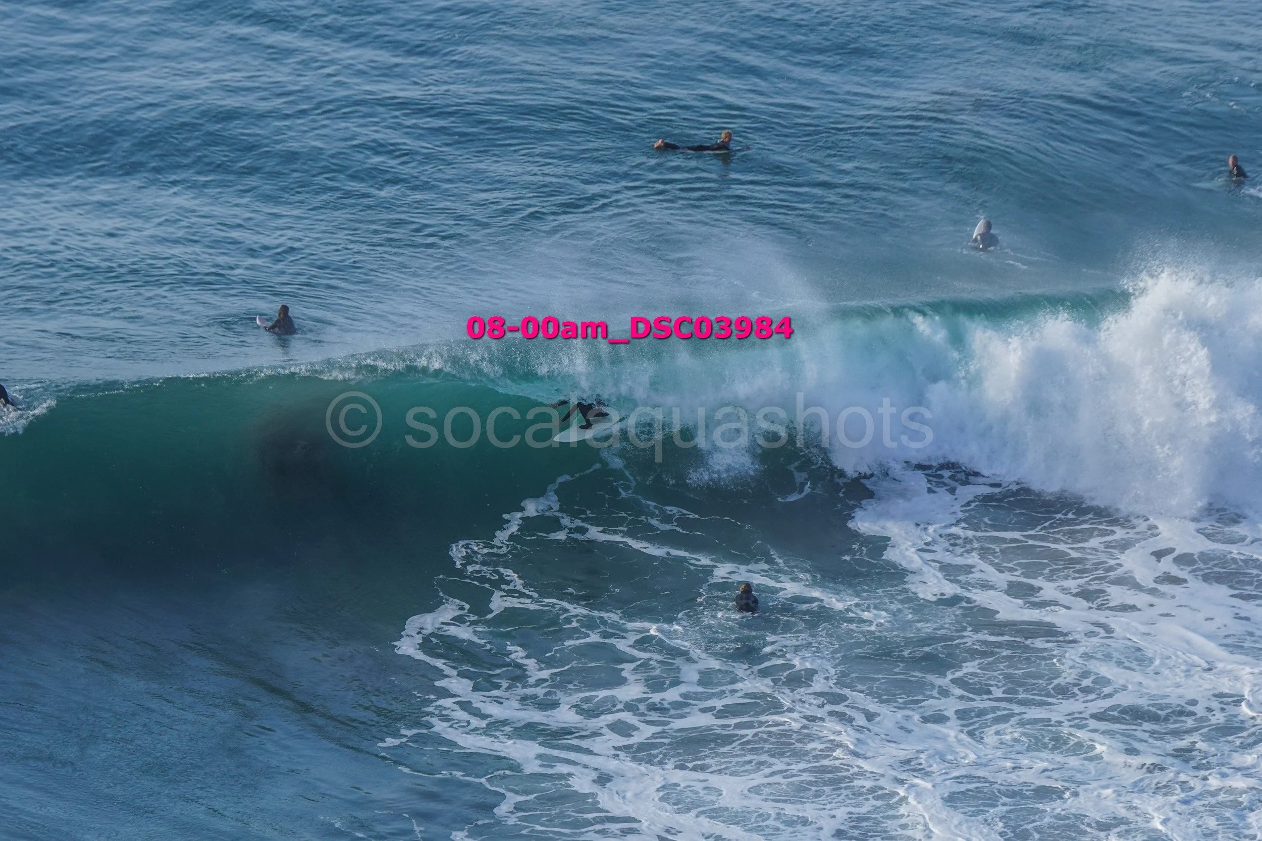 A group of surfers riding and waiting for waves in the ocean.