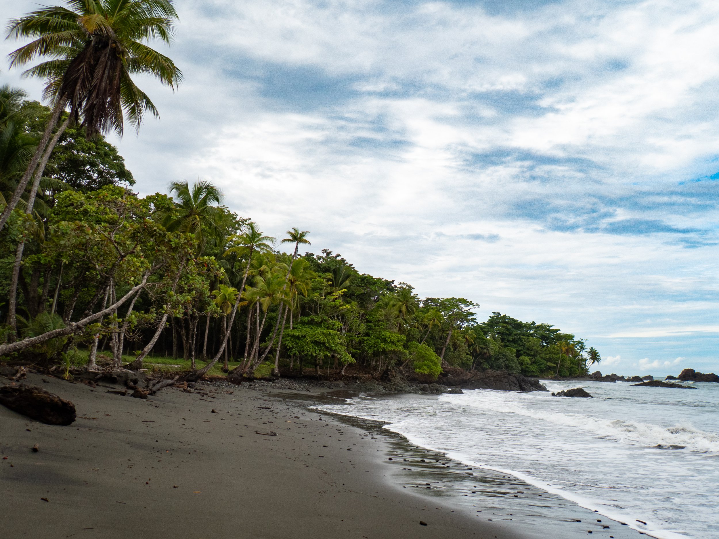 A sandy beach with driftwood and rocks, lined with lush green palm trees under a partly cloudy sky.