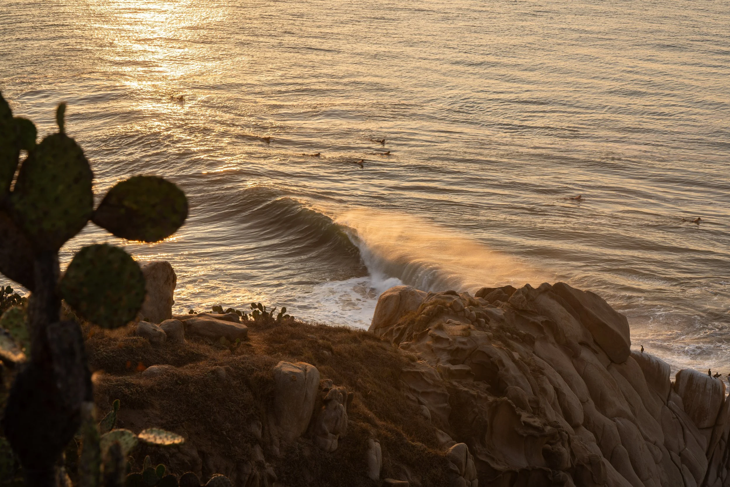 Sunset over the ocean with gentle waves, rocks along the shore, and cacti in the foreground.