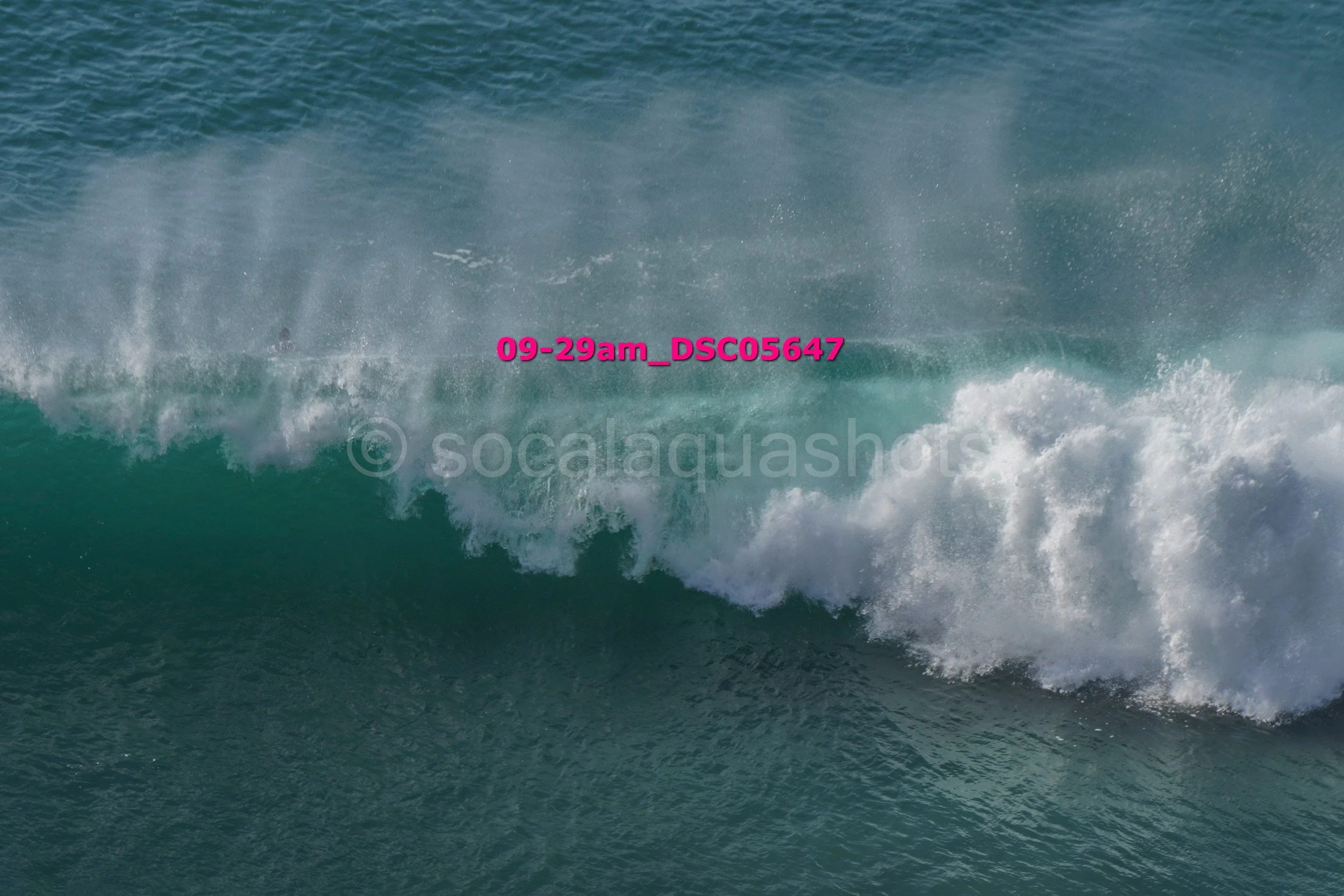 Ocean wave crashing in the sea with foam and spray.