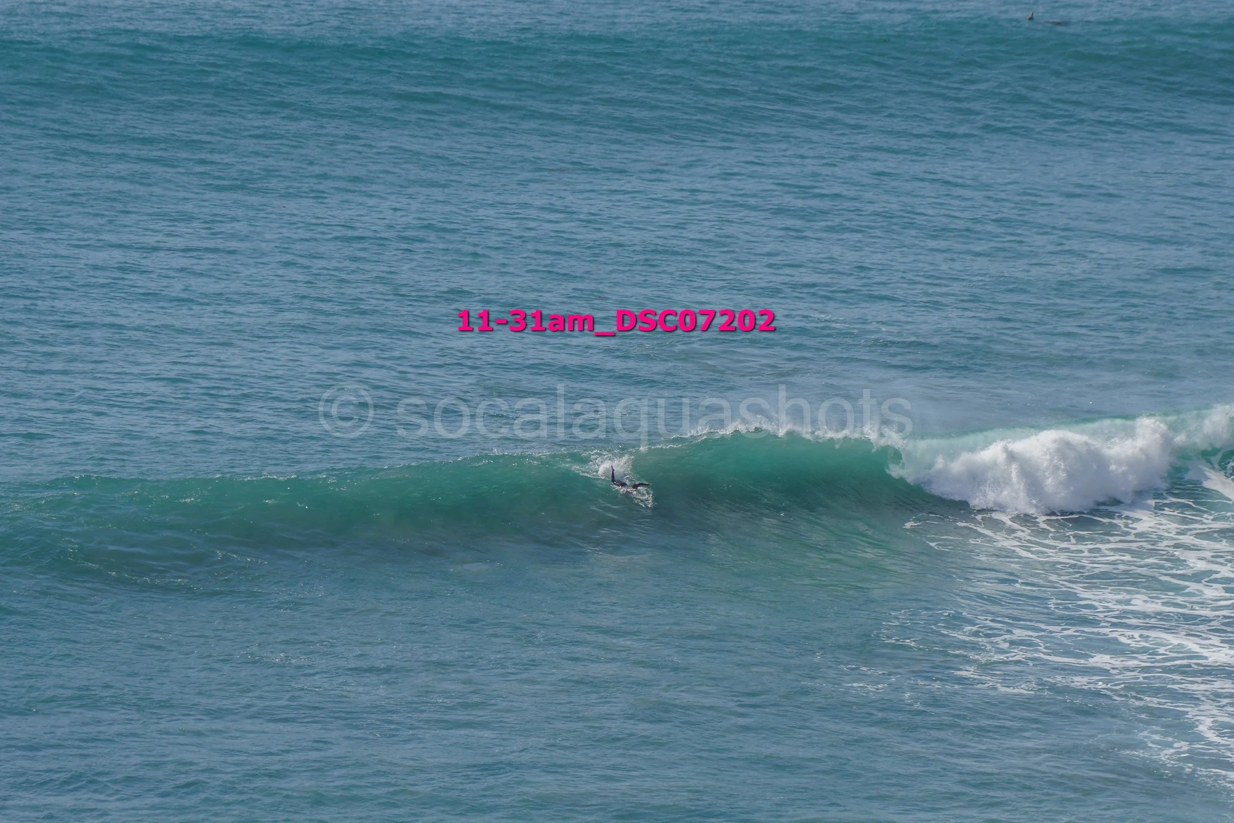 A surfer riding a wave in the ocean with a caption overlay that reads '11-31am_DSC07202' in pink text.