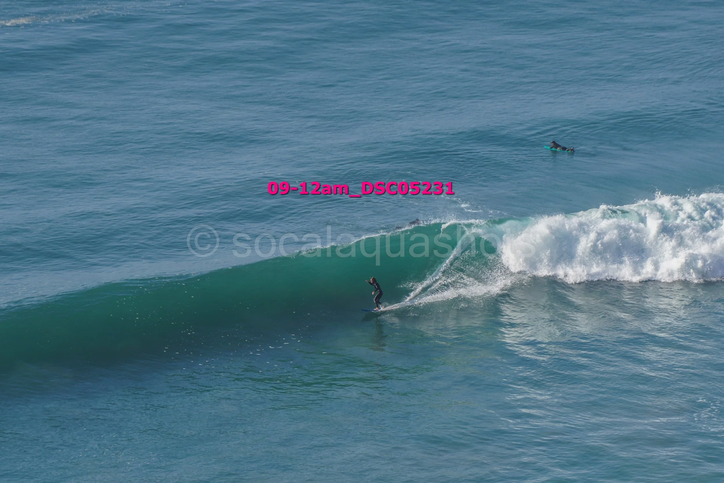 A person surfing on a wave in the ocean with a dog in a small boat or surfboard in the background.
