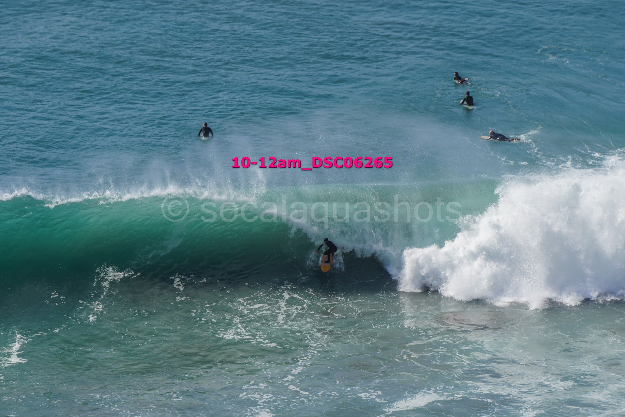 A surfer riding a wave while several other surfers are paddling and swimming in the water. The scene is set on a sunny day at the beach.