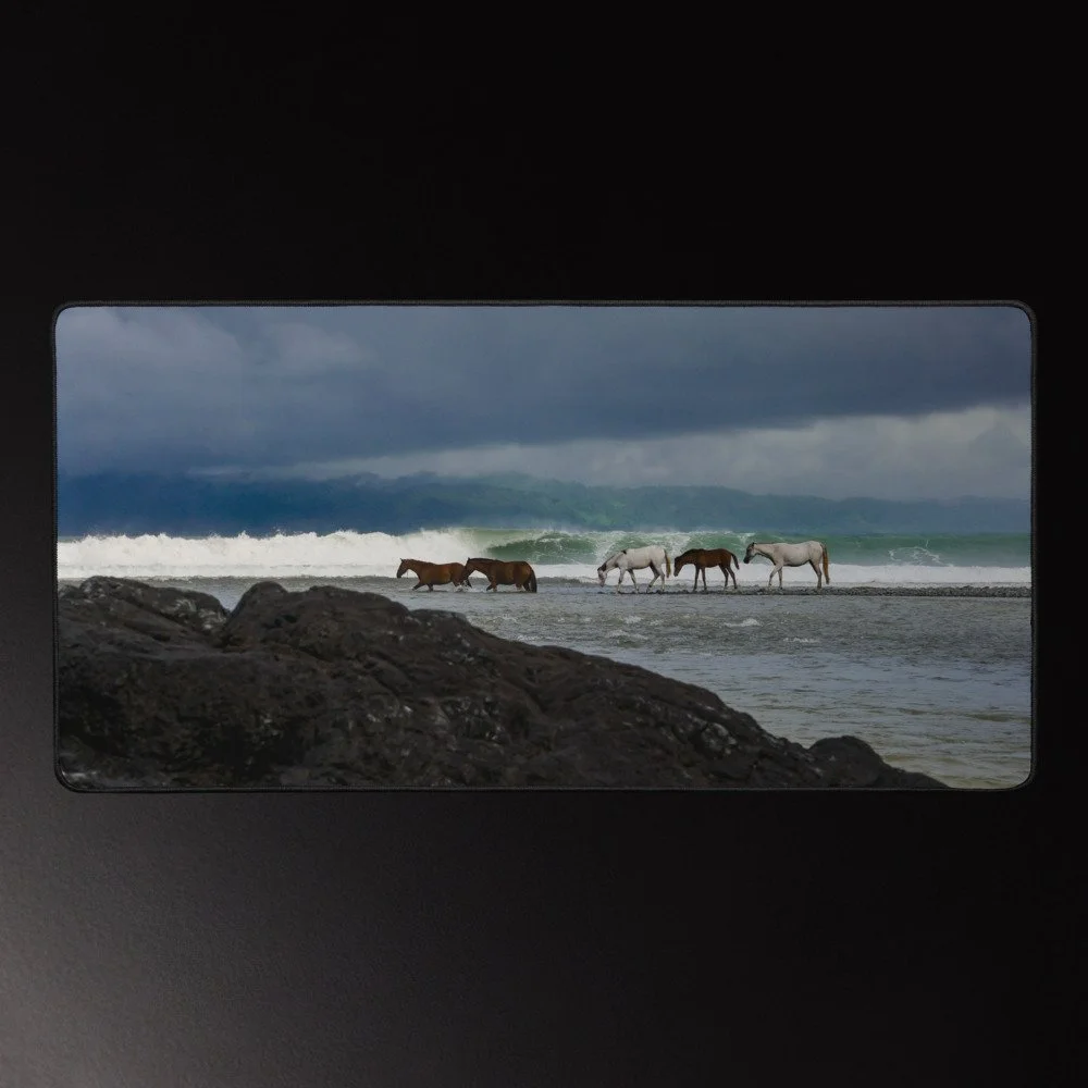 Tidewalkers - Coastal Photography Desk Mat 16x32