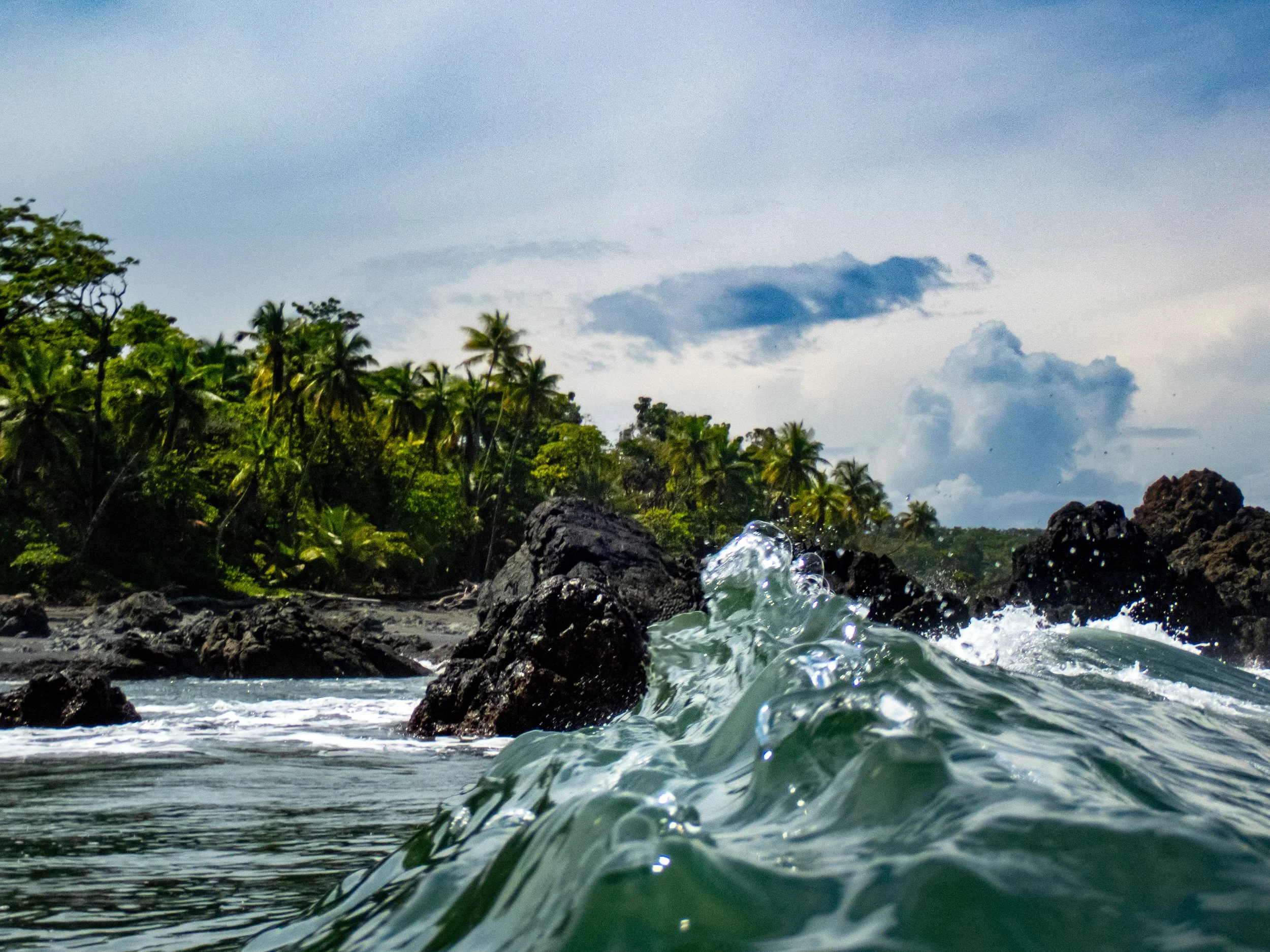Tropical coast with rocks and waves, lush green trees and palm trees on the shoreline, cloudy sky.
