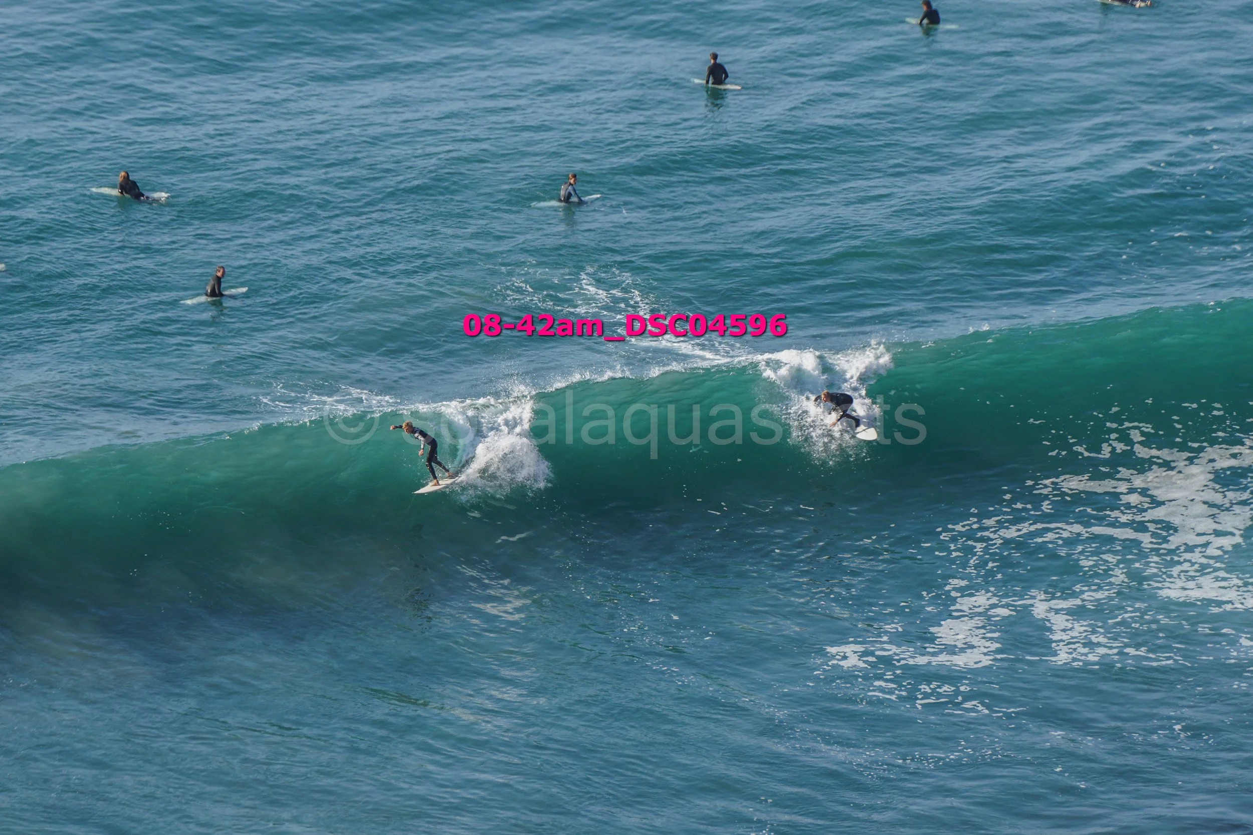 Several surfers riding and waiting for waves in the ocean