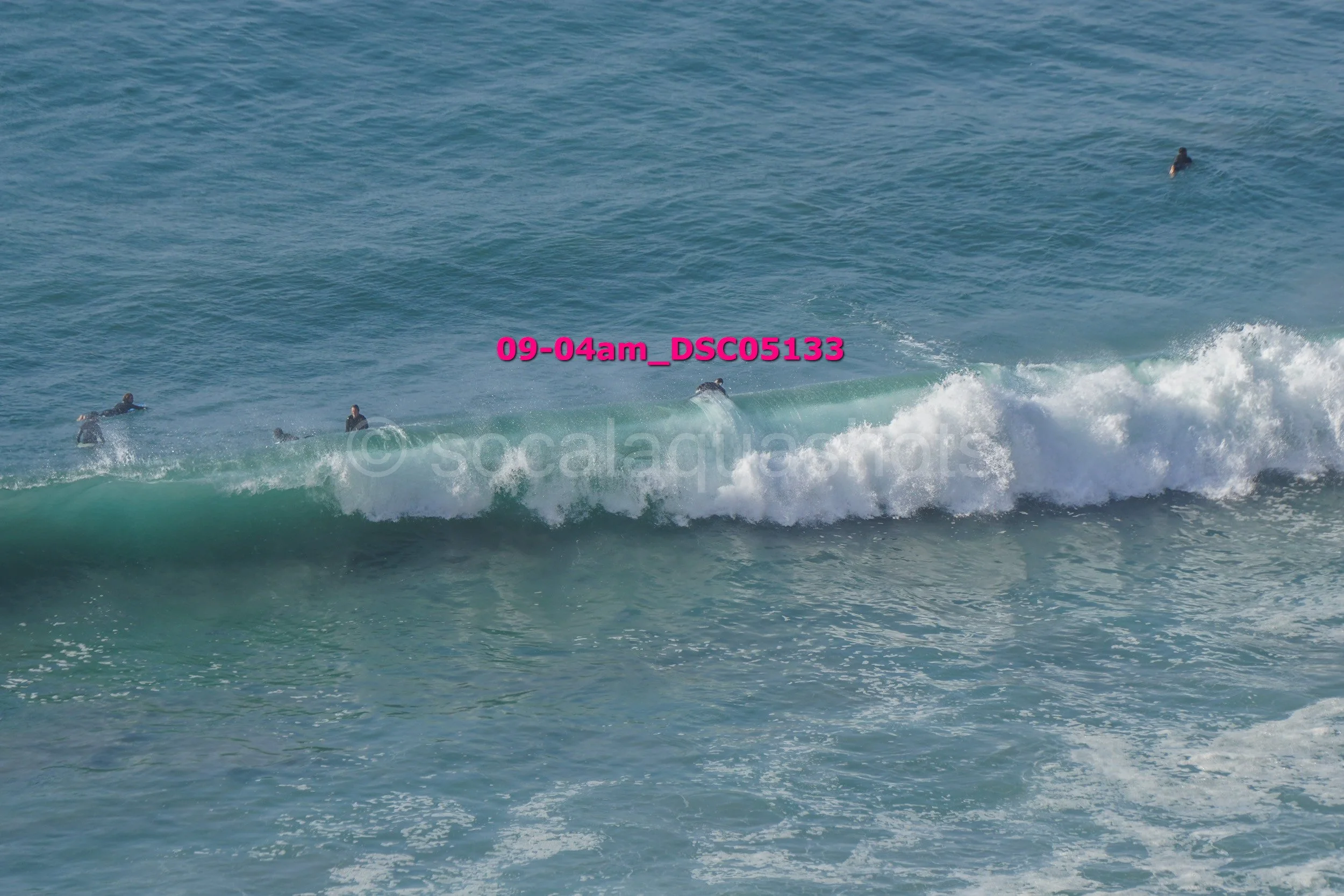 Group of surfers in the ocean, with some riding a wave and others waiting in the water.