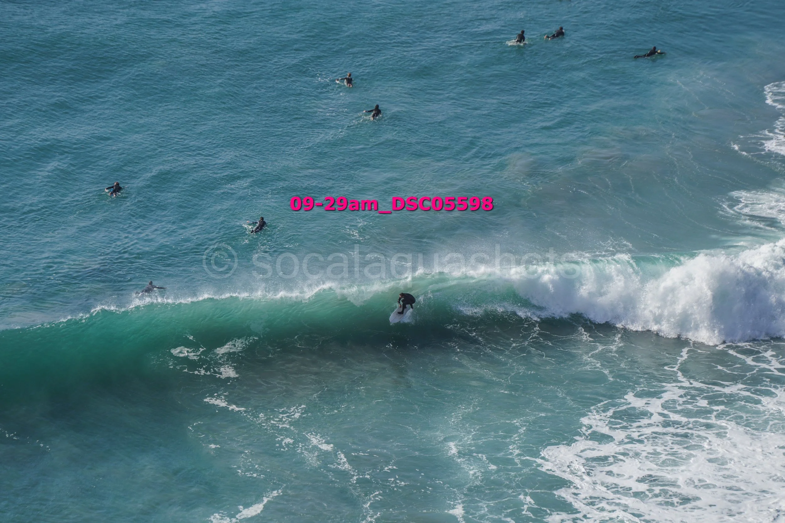 A person surfing on a wave with several people swimming in the ocean in the background.