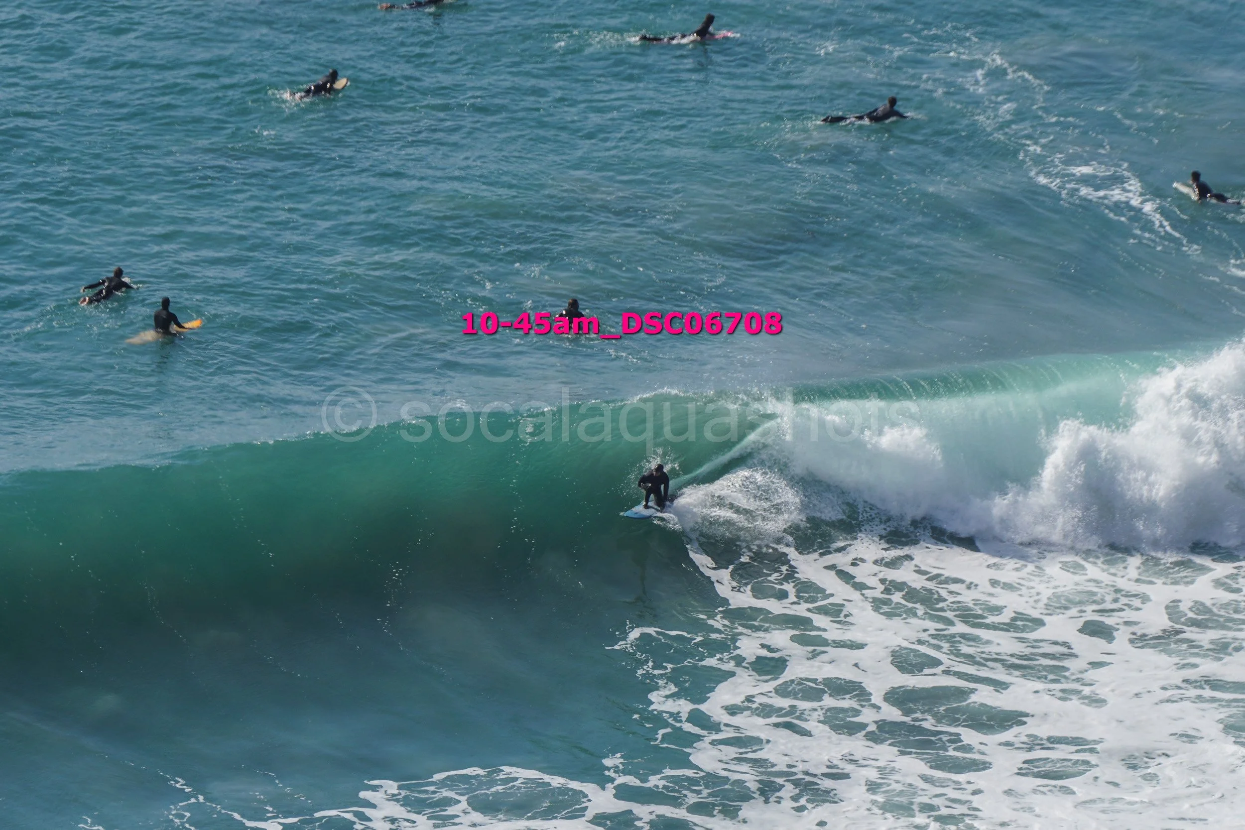 A surfer riding a wave while multiple surfers paddle in the background in the ocean.