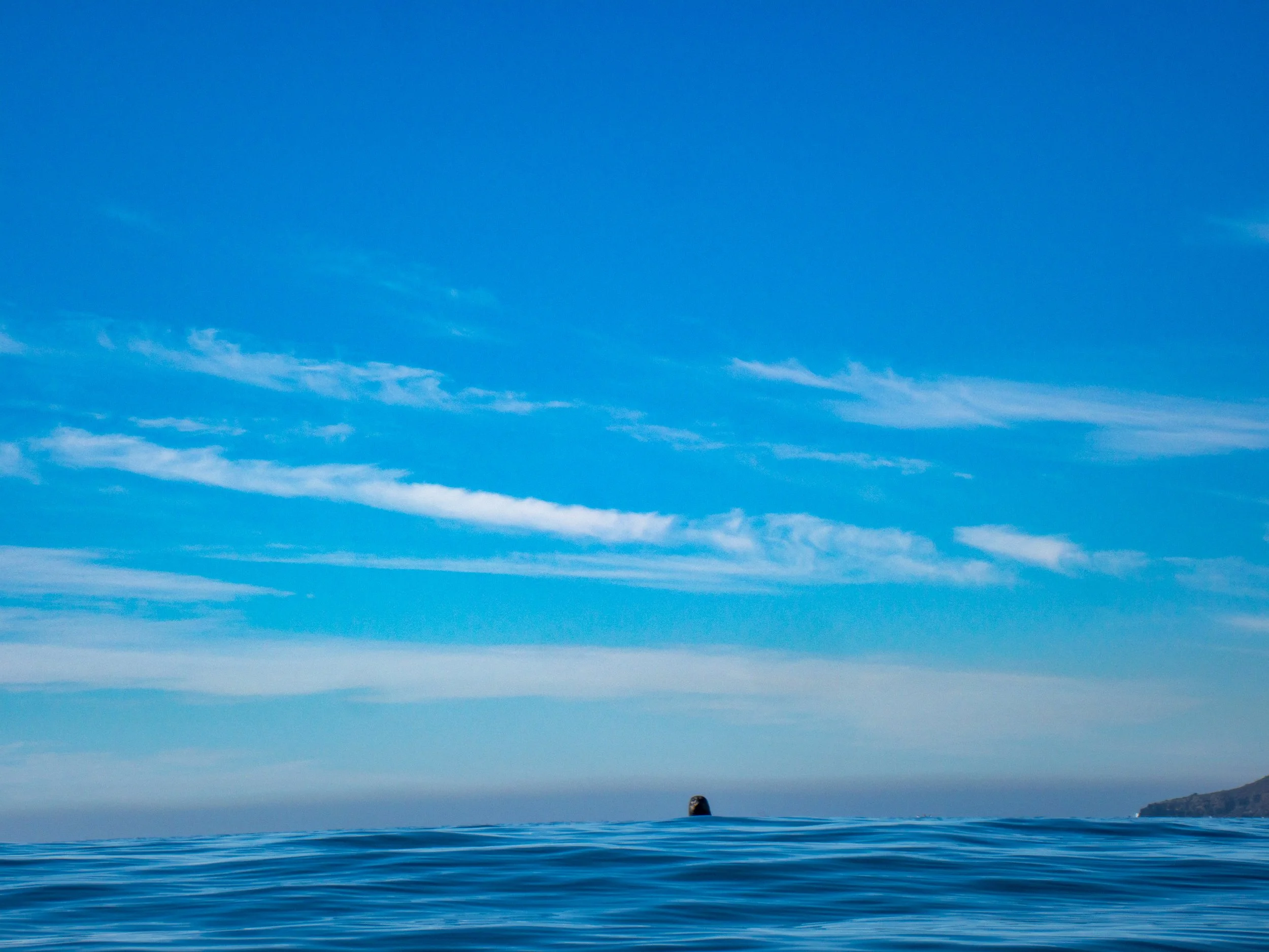 Open ocean with a small island or landmass visible on the horizon under a clear blue sky with light, wispy clouds.
