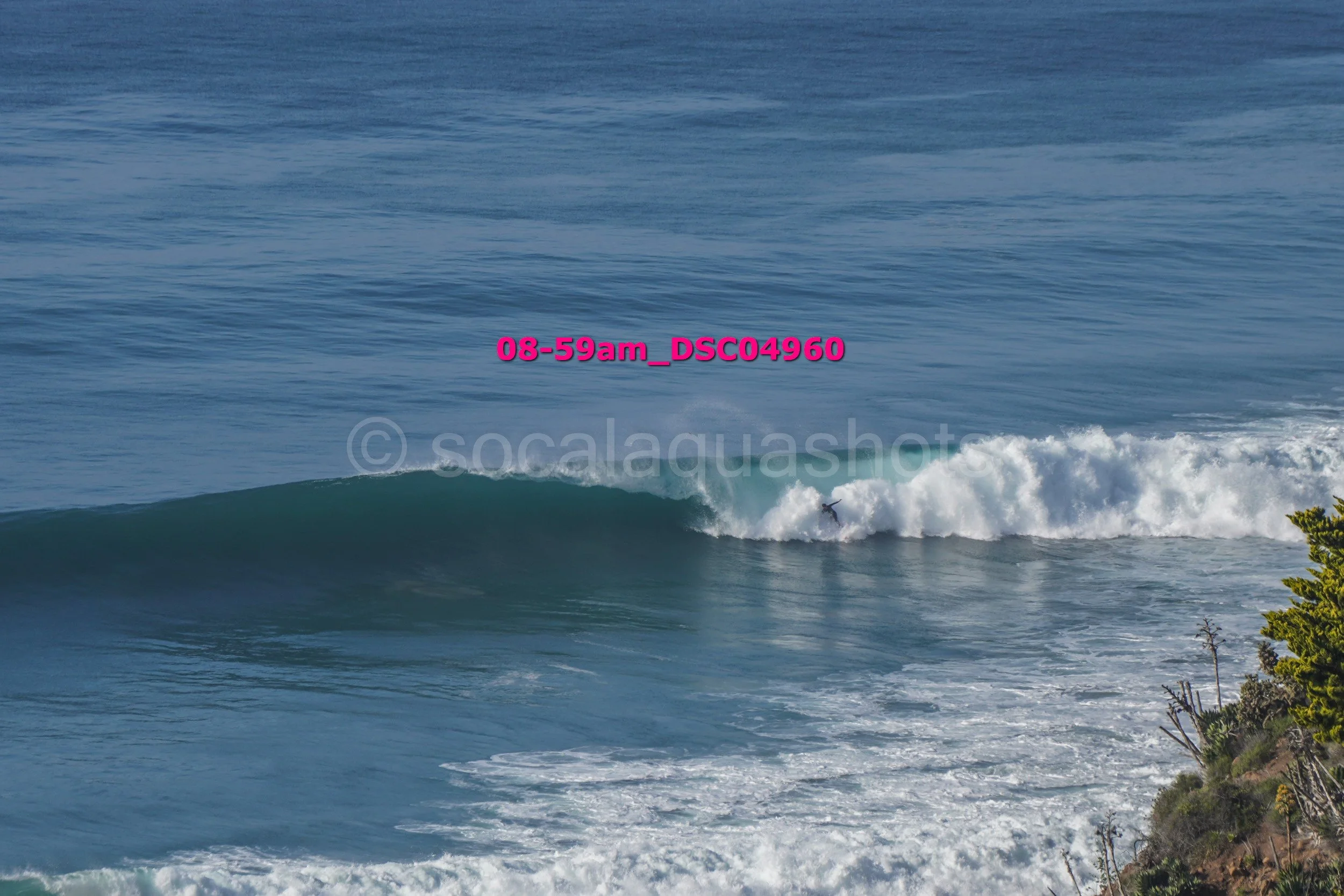 A surfer riding a wave with ocean water and distant horizon in the background, some greenery on the right foreground.